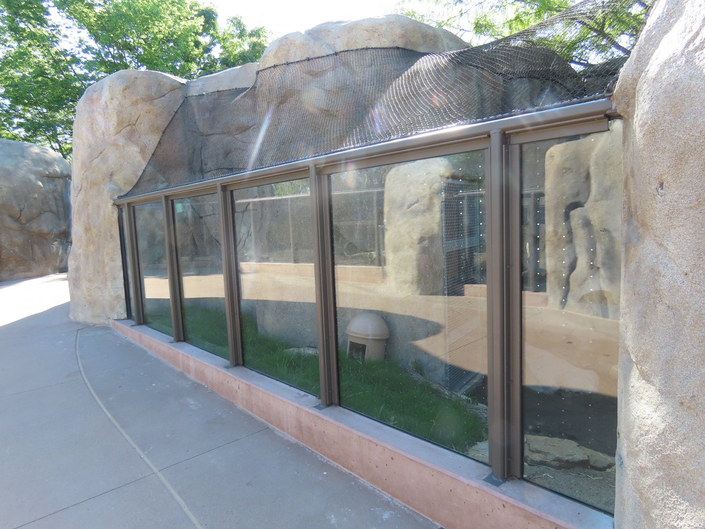 Black-footed Cat Exhibit - Kopje Renovation