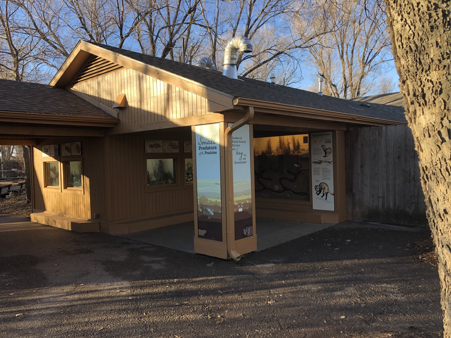 Black-footed Ferret Exhibit (NEW)