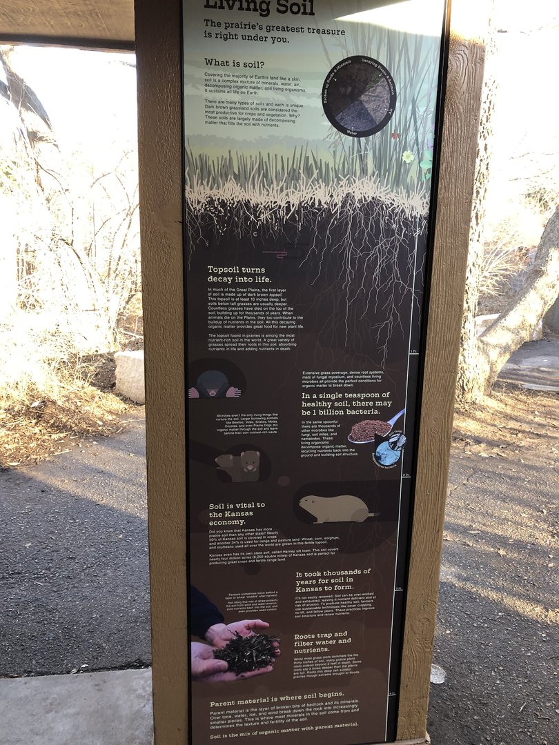 Black-footed Ferret Exhibit (NEW)