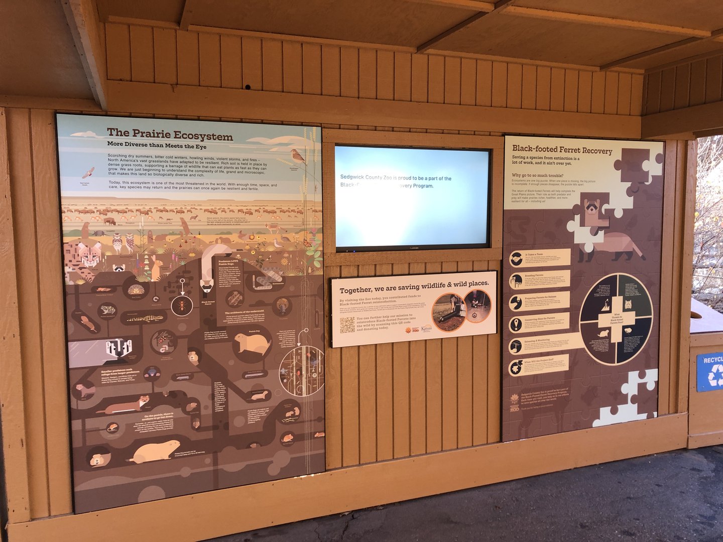 Black-footed Ferret Exhibit (NEW)