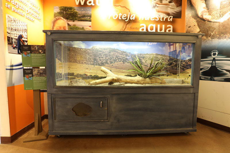 black footed ferret exhibit