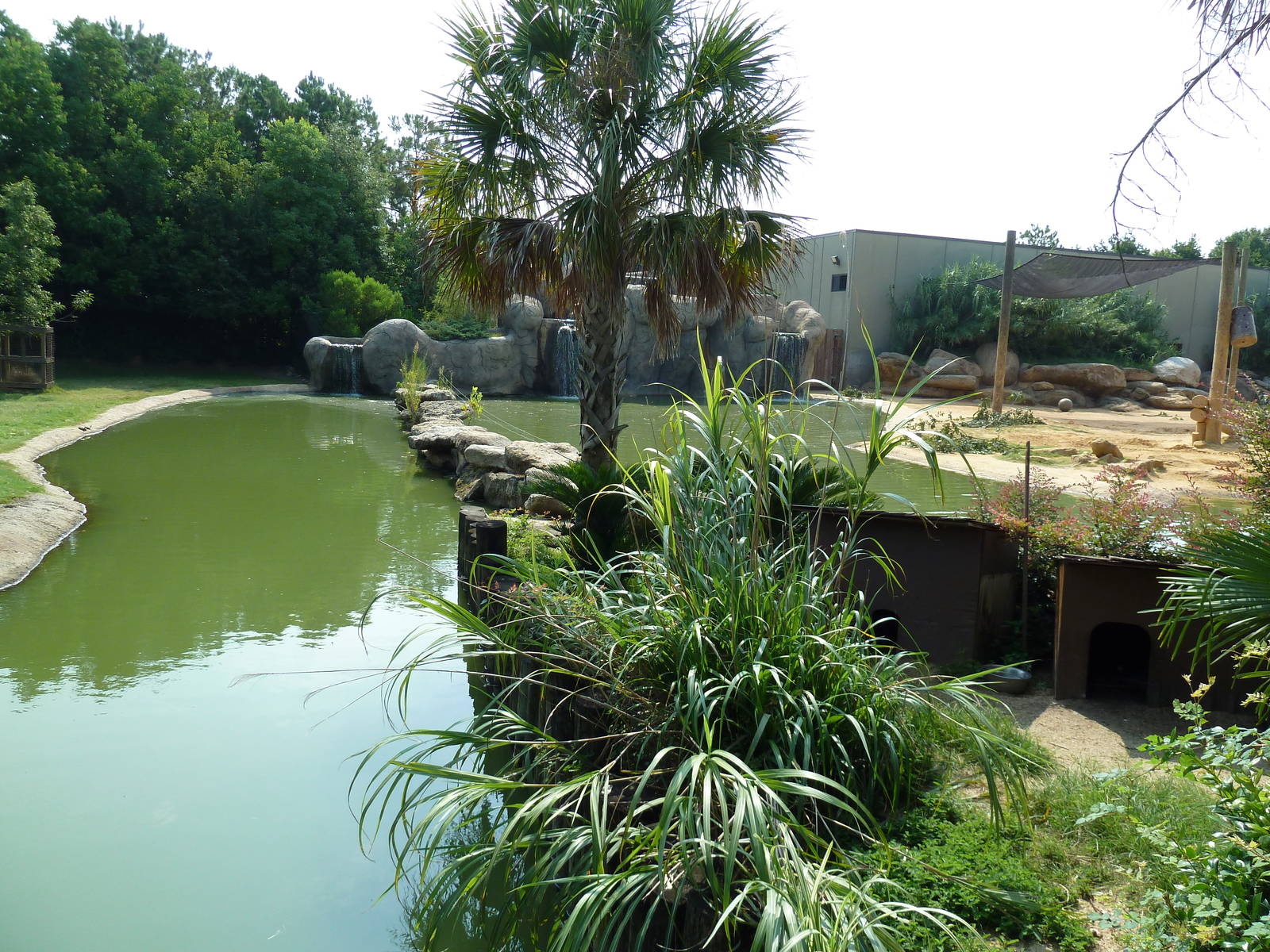 Black-Footed Penguin + African Elephant Exhibits