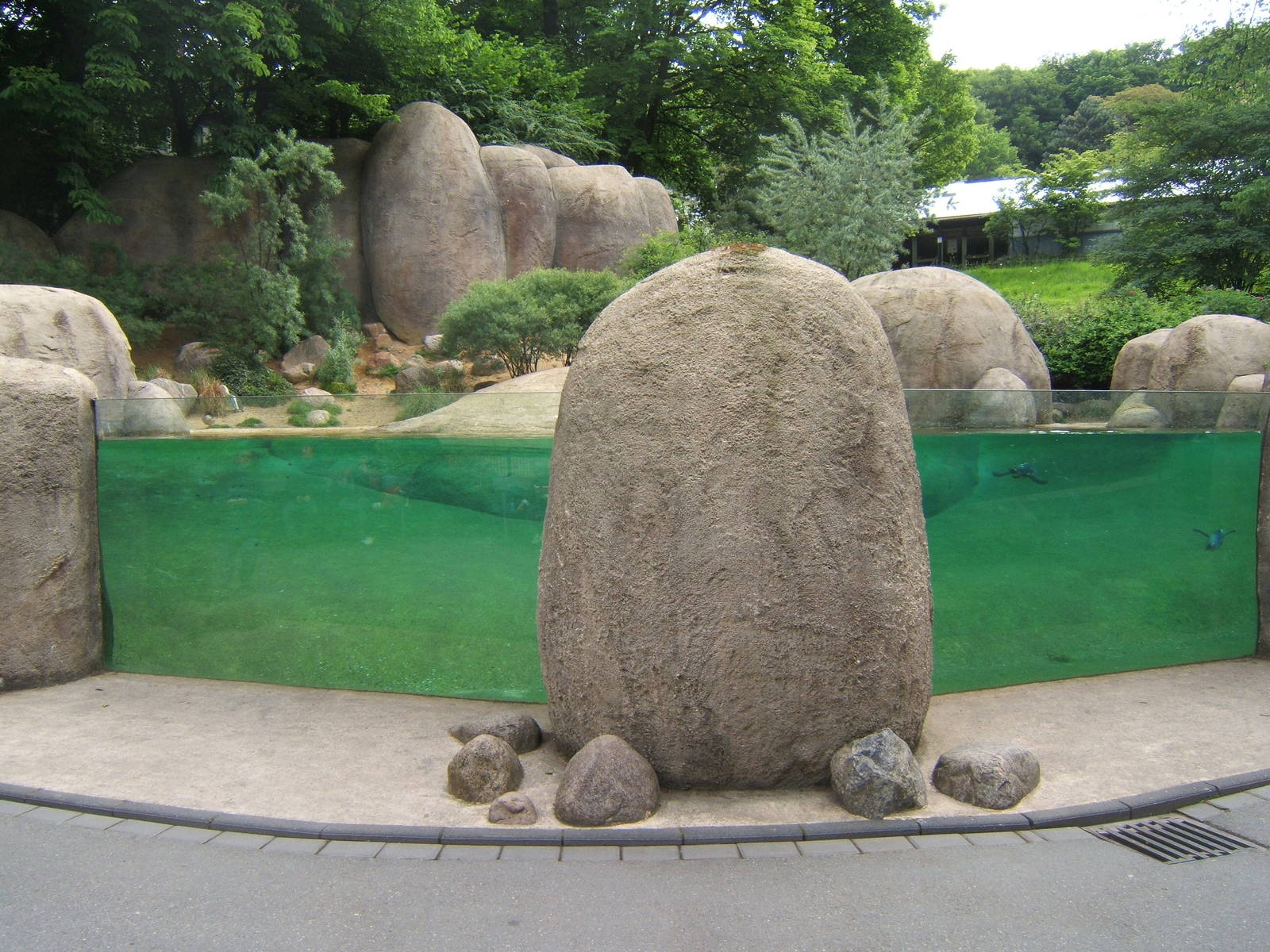 Black-footed Penguin enclosure