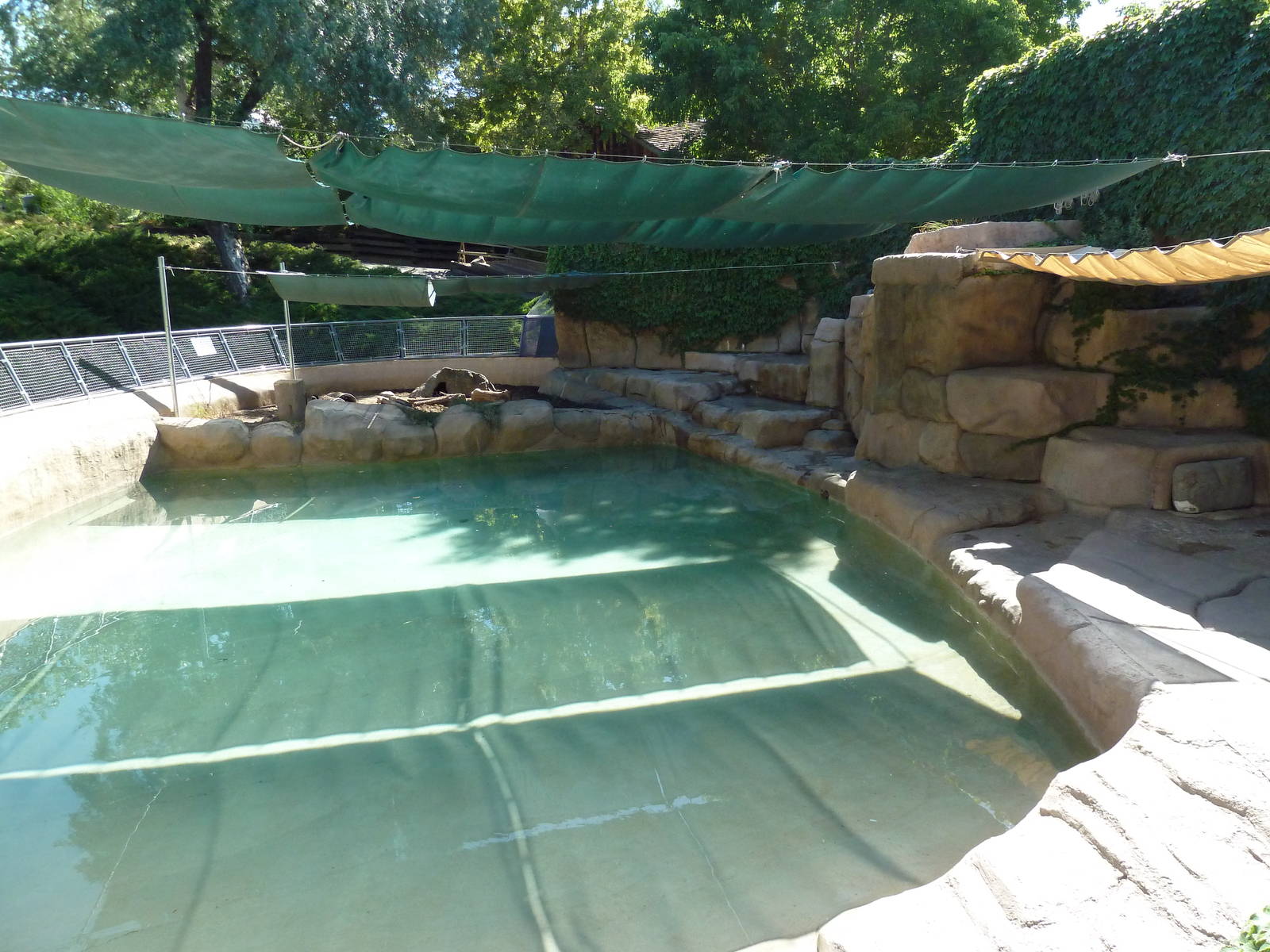 Black-Footed Penguin Exhibit
