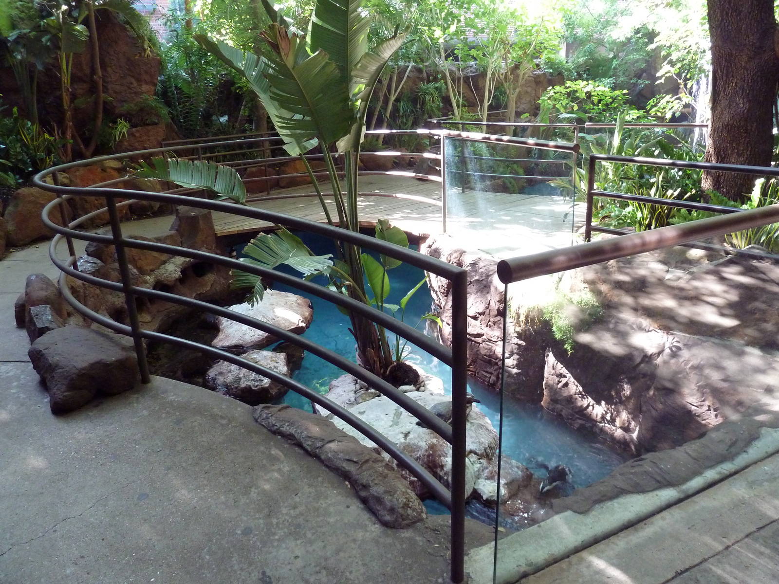 Black-Footed Penguin Exhibit