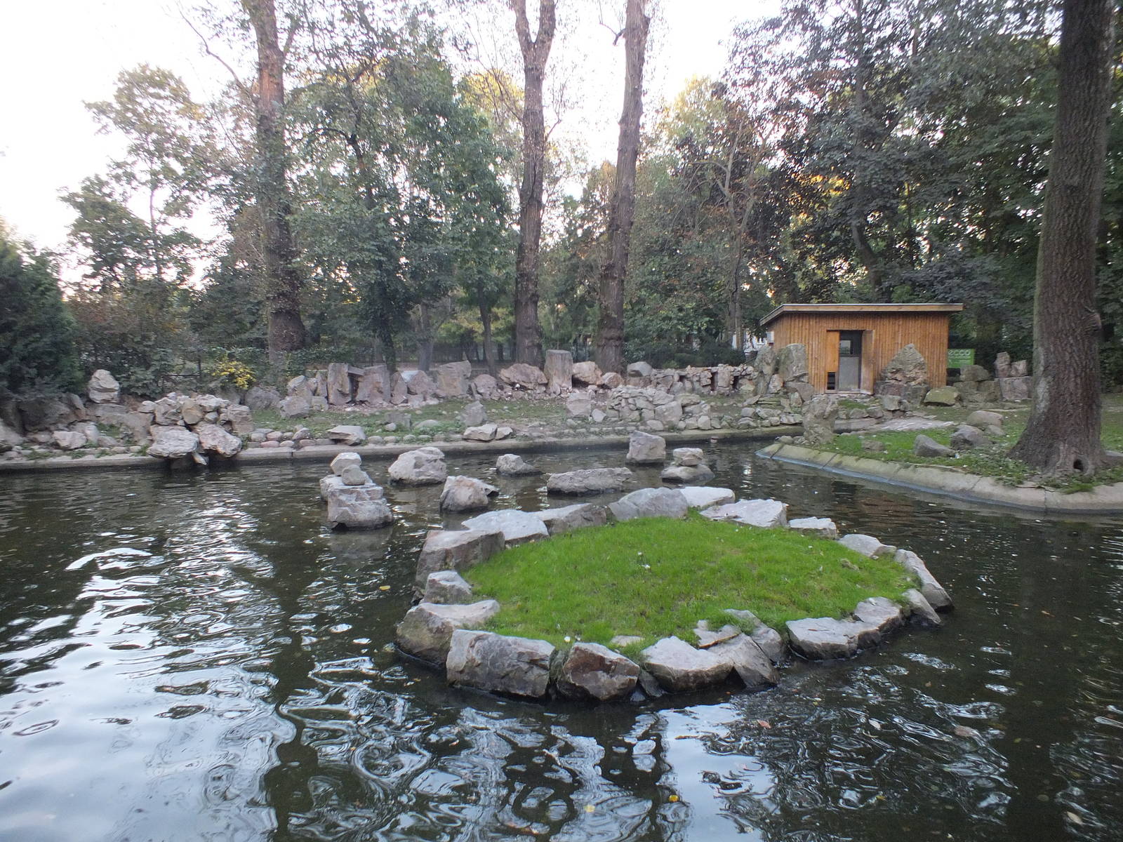 Black footed penguin exhibit