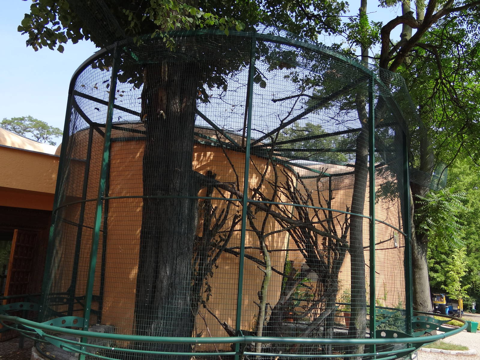 Black Giant Squirrel enclosure