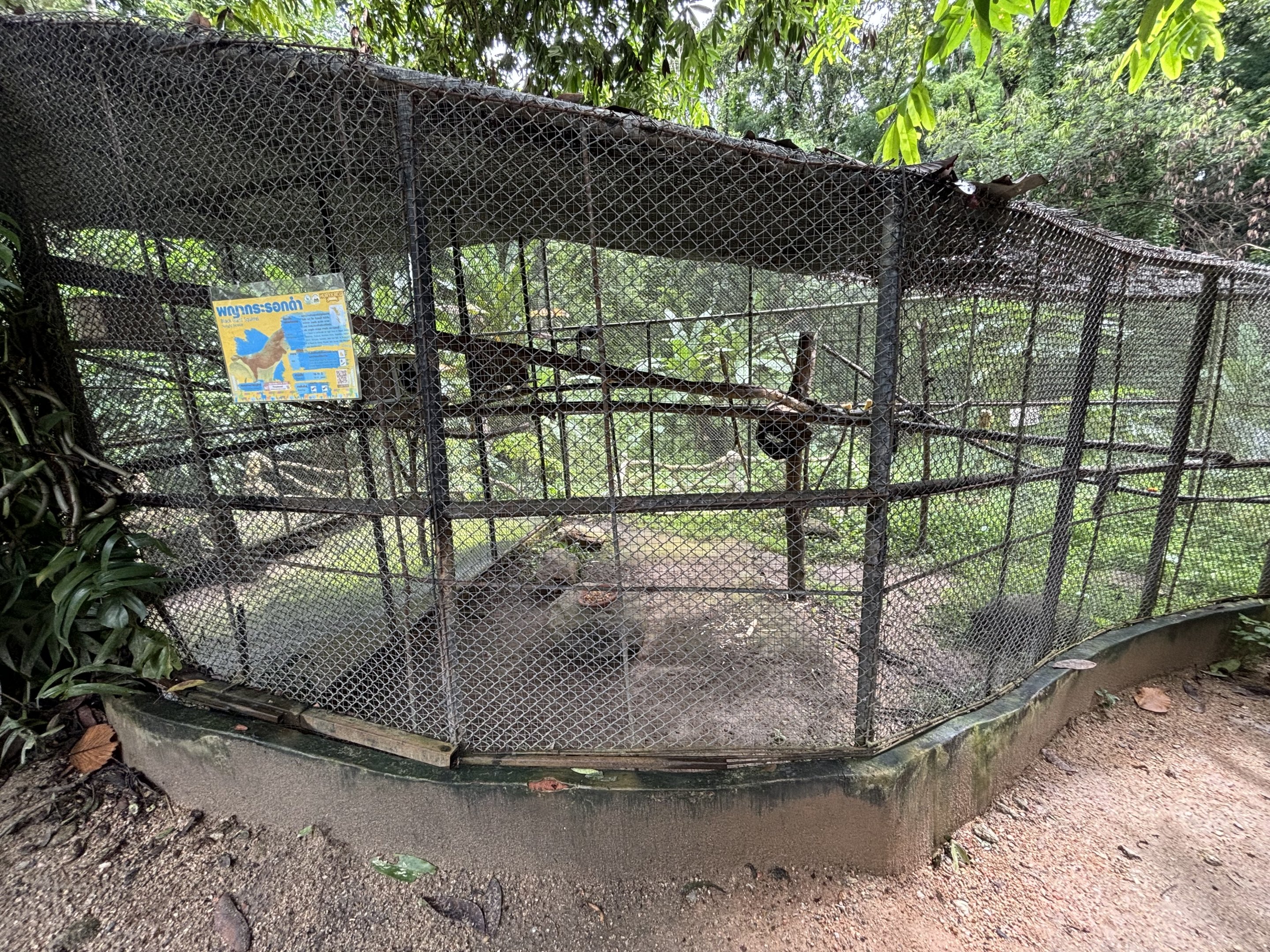 Black Giant Squirrel Exhibit