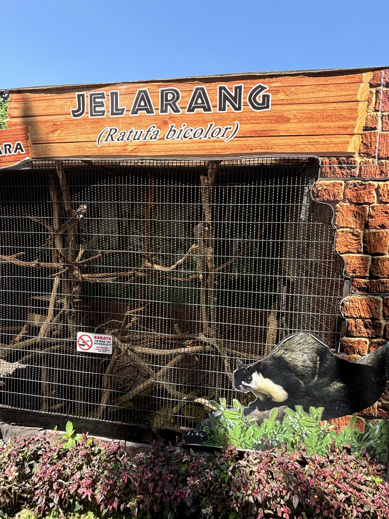 Black Giant Squirrel Exhibit