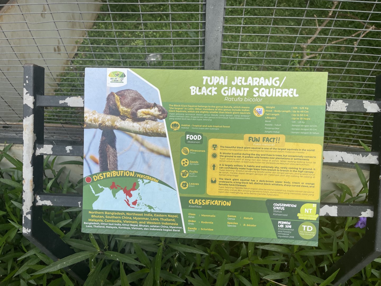 black giant squirrel signage - aviary park
