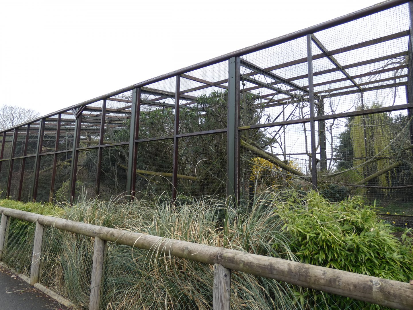 Black & Gold Howler Monkey Enclosure