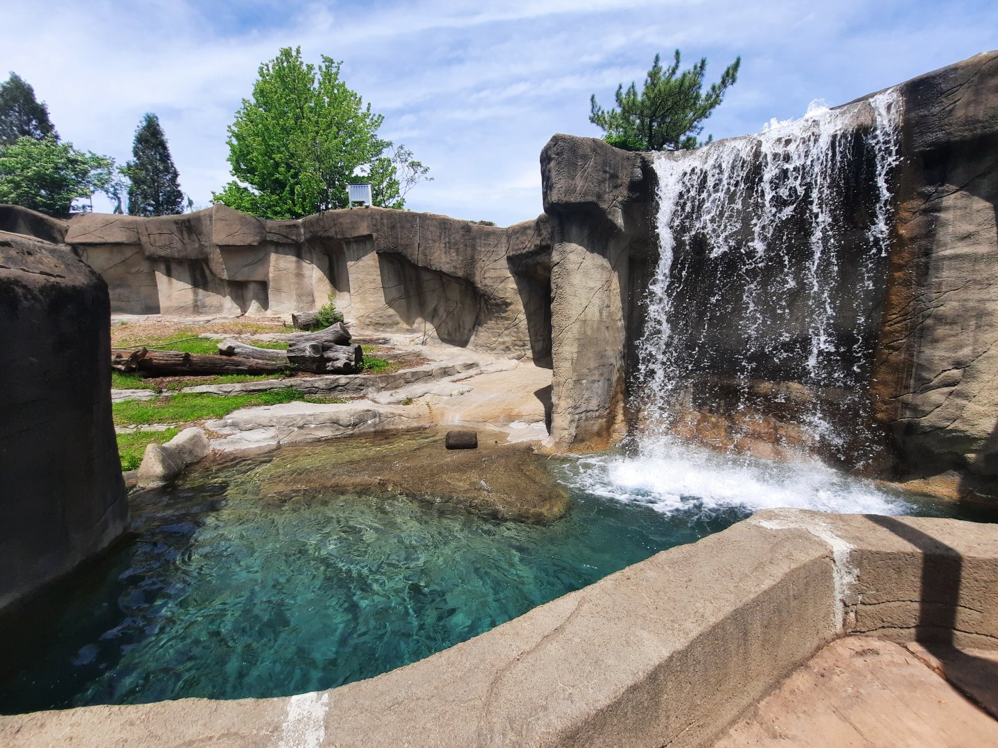 Black/Grizzly Bear Pool
