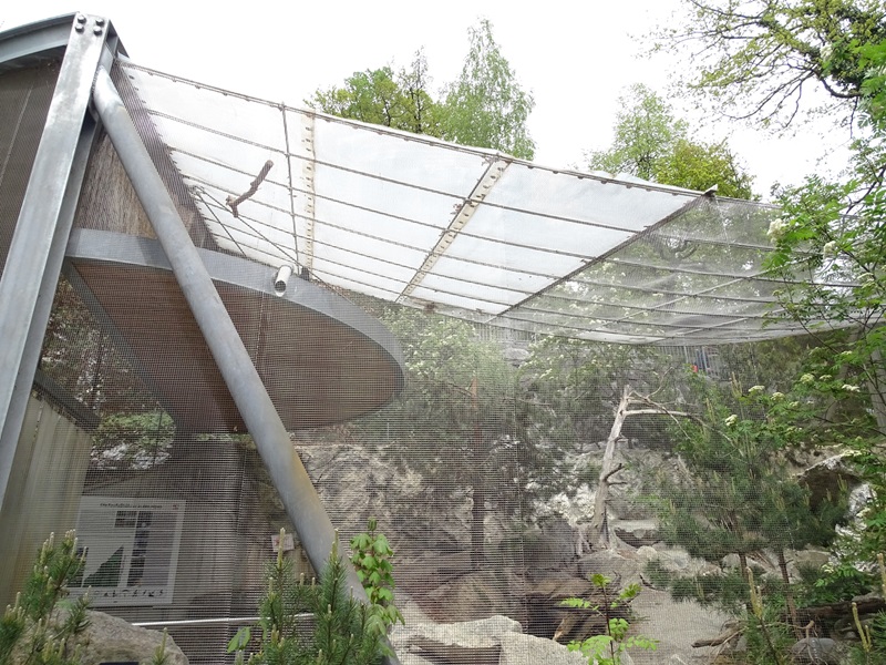 Black grouse / mountain hare aviary