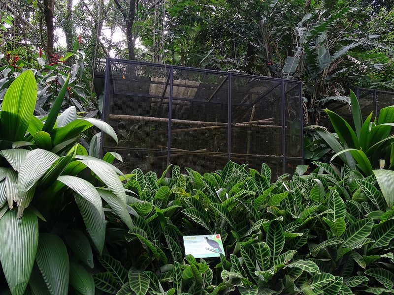 Black guan enclosure