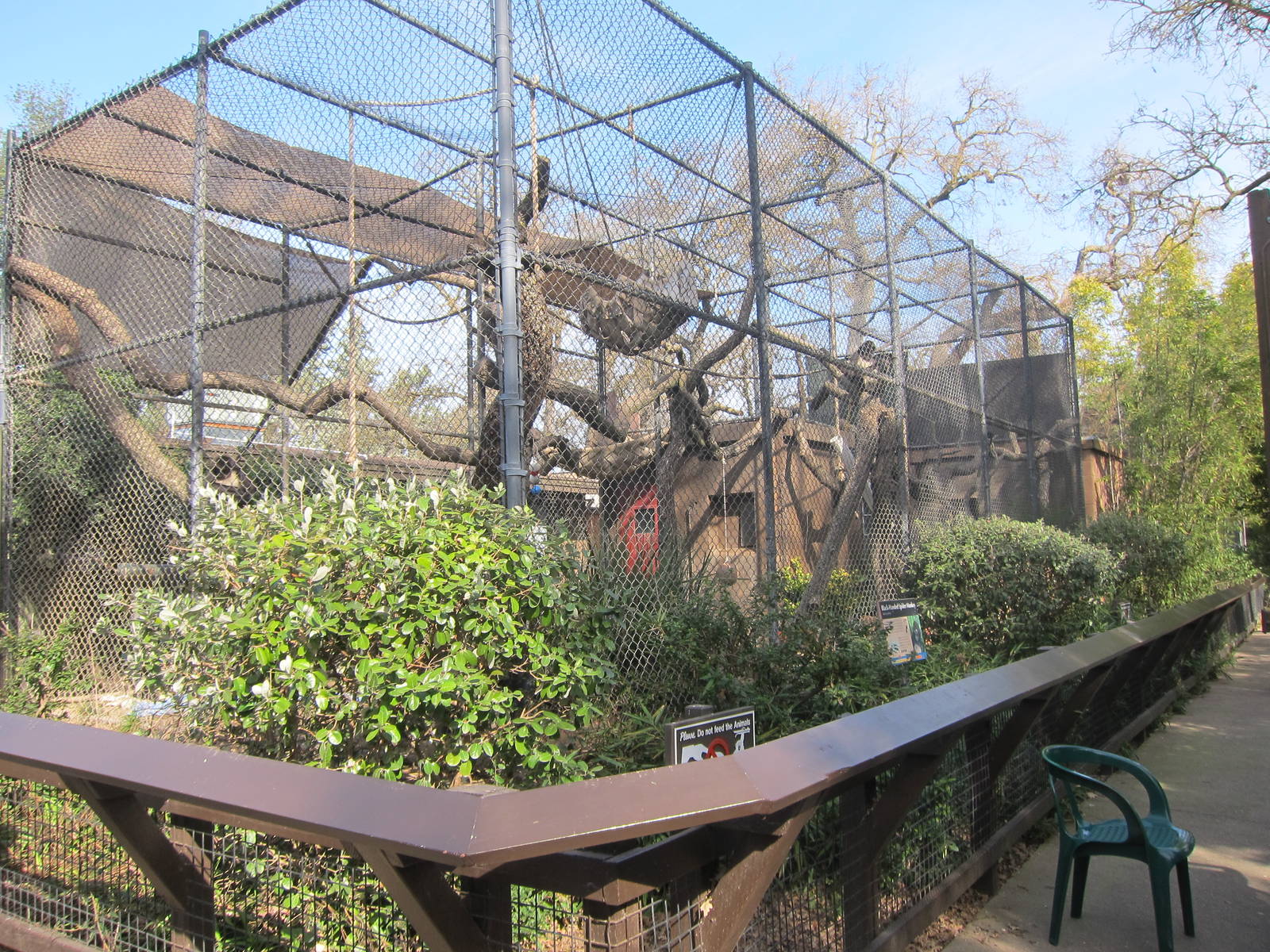 Black Handed Spider Monkey Enclosure
