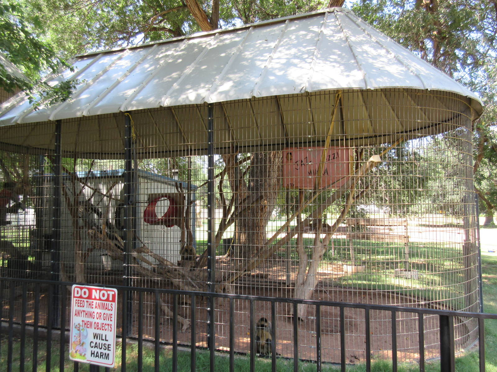 Black-Handed Spider Monkey Exhibit #1