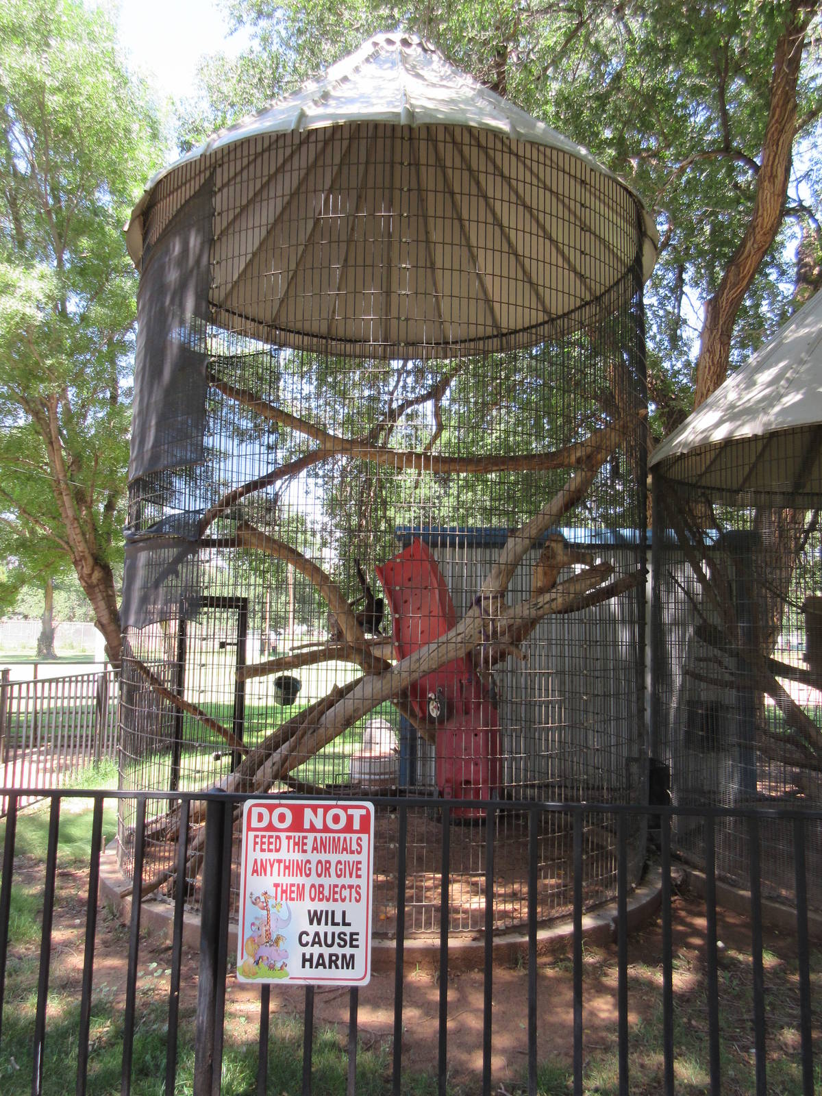 Black-Handed Spider Monkey Exhibit #2