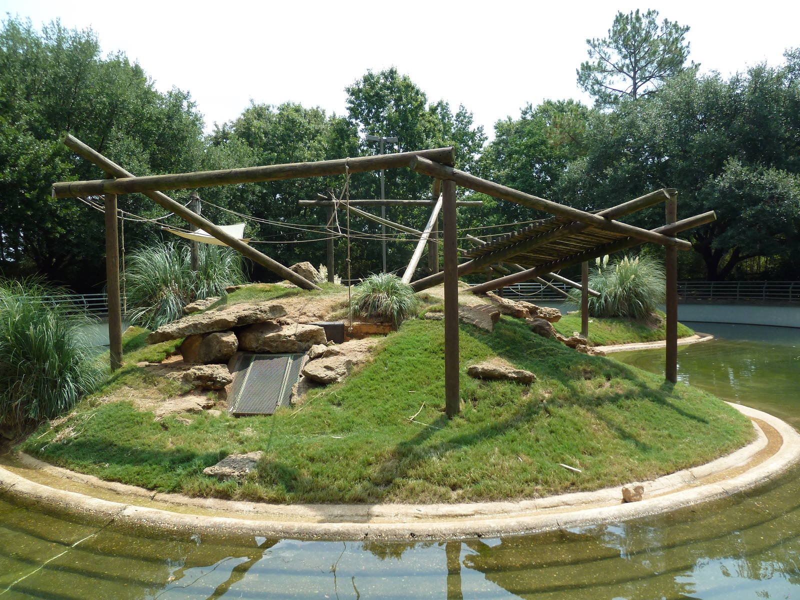 Black-Handed Spider Monkey Exhibit