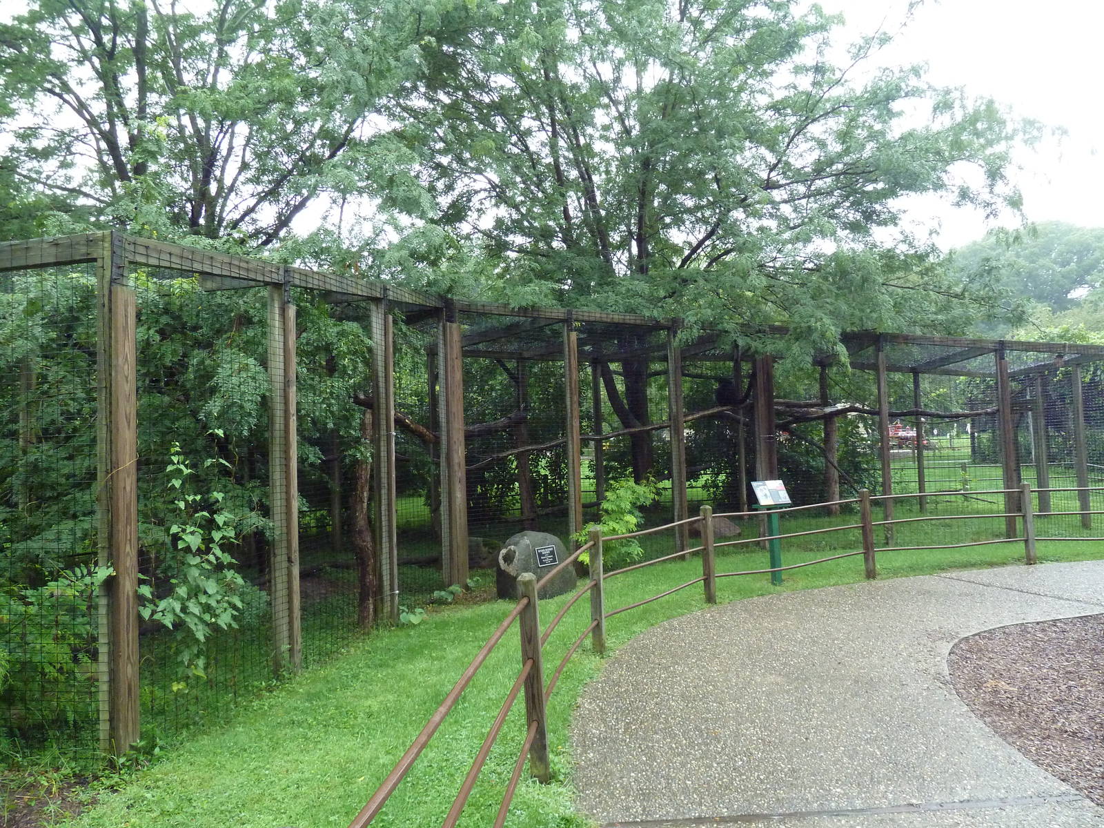 Black-Handed Spider Monkey Exhibit