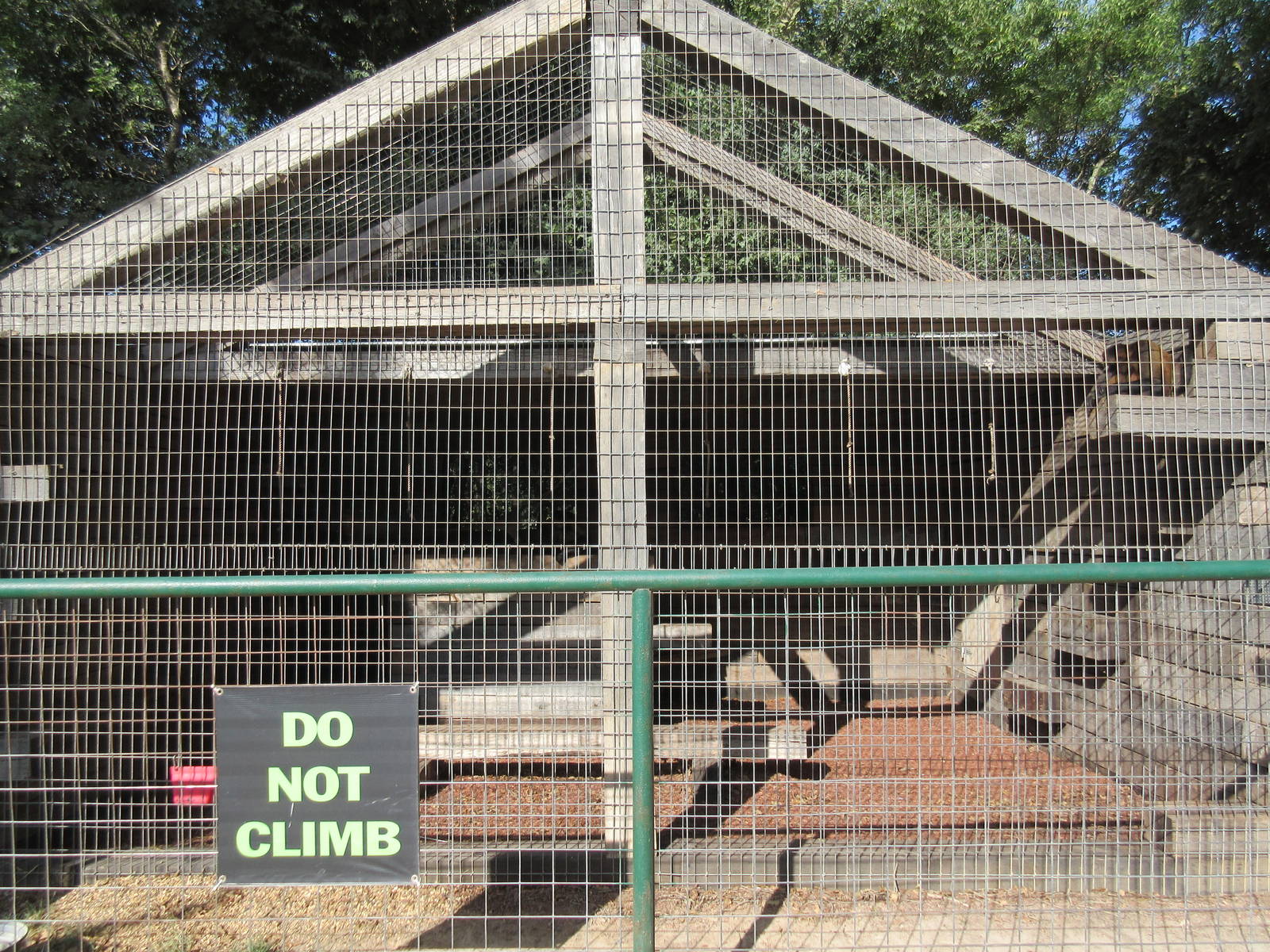 Black-Handed Spider Monkey Exhibit