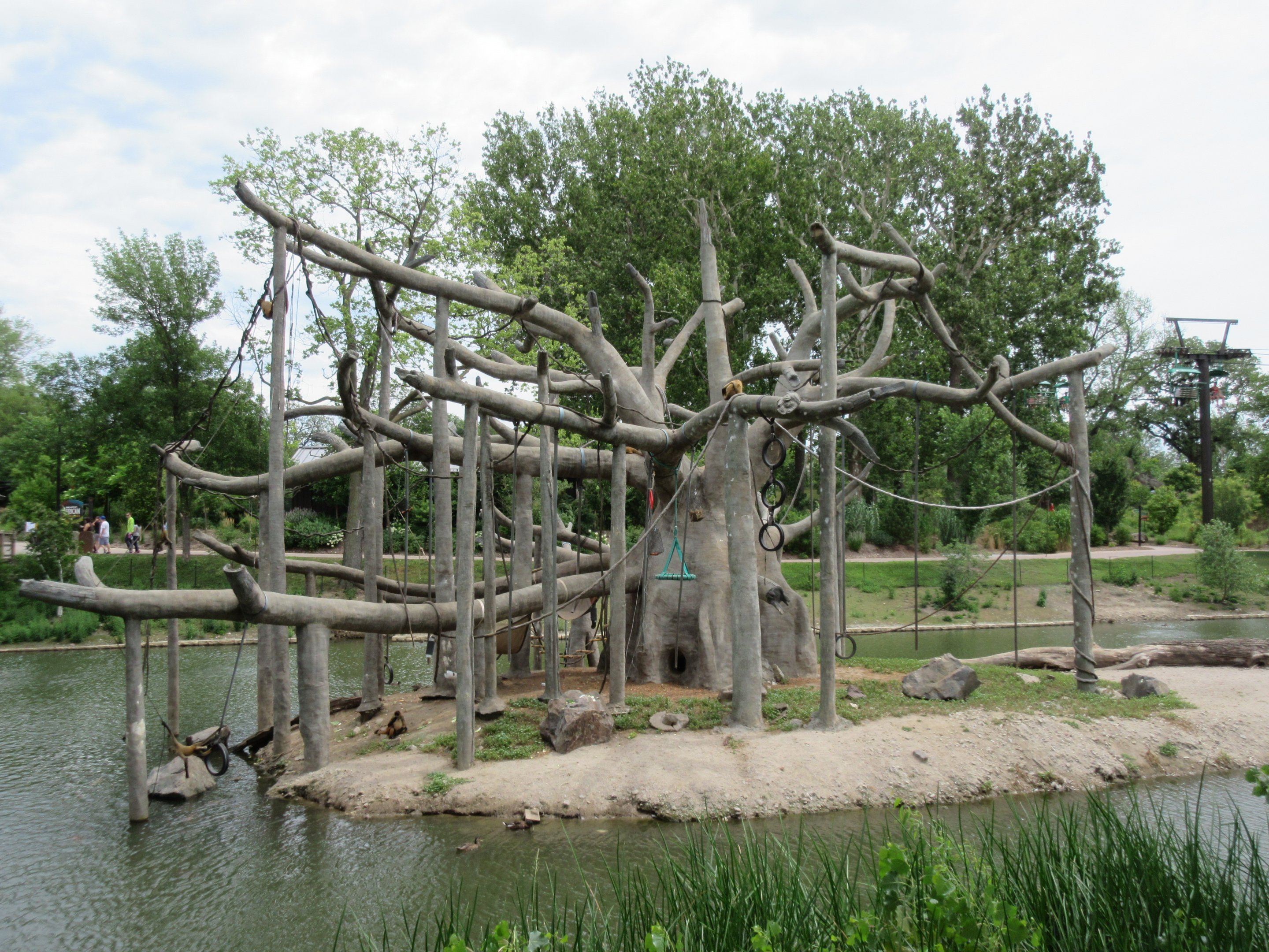 Black-handed Spider Monkey Exhibit