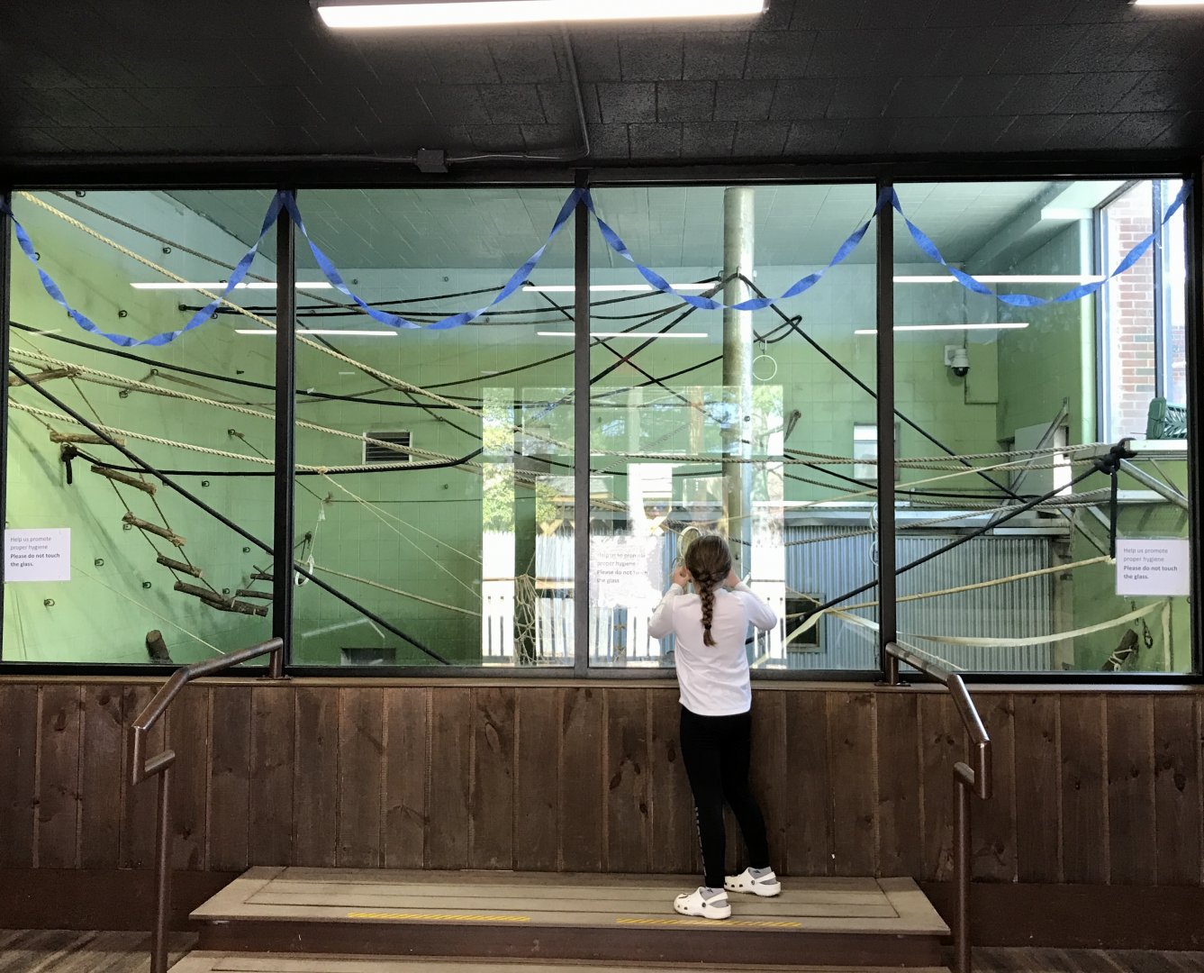 Black-handed Spider Monkey Exhibit