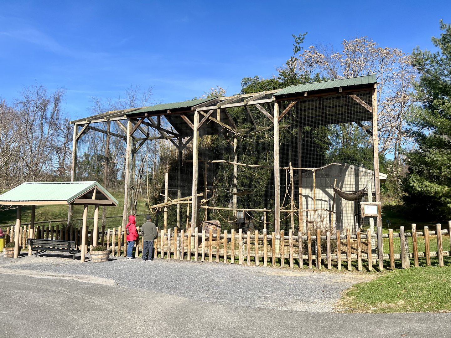 Black-handed Spider Monkey Exhibit