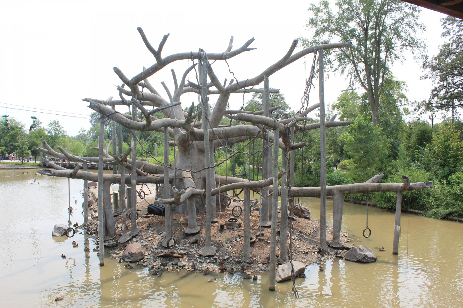 Black-Handed Spider Monkey Island