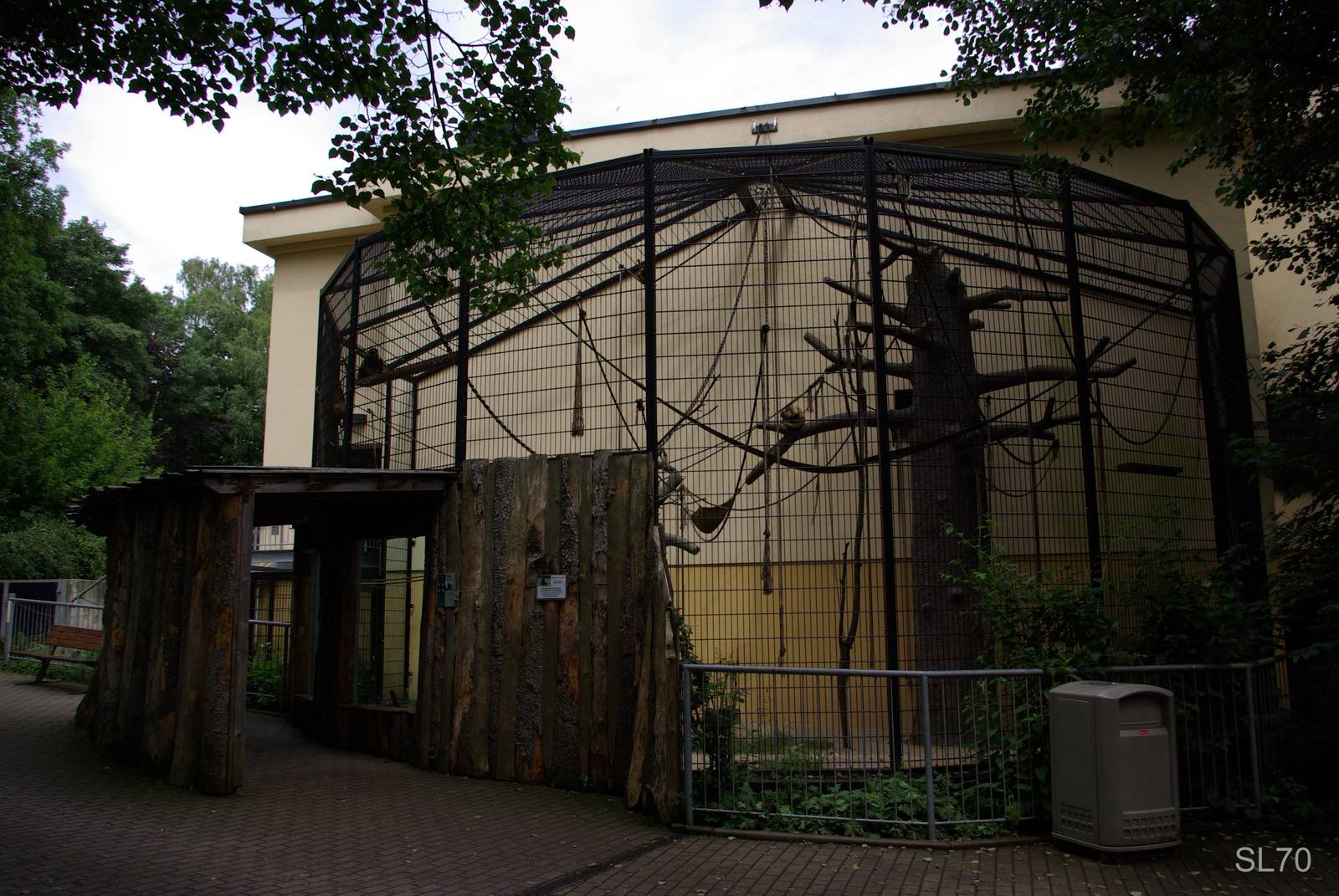 Black-Handed-Spider Monkey outdoor cage