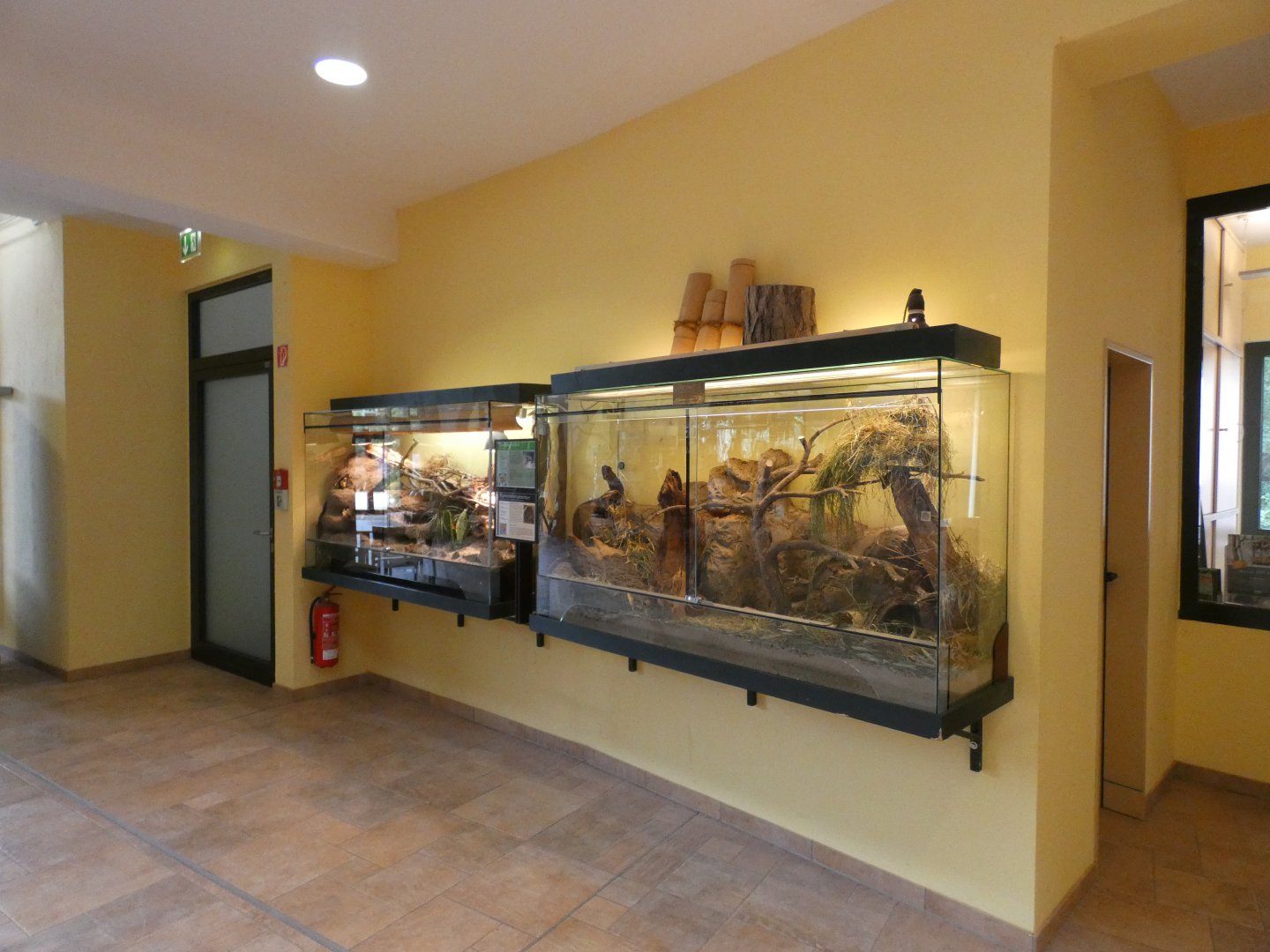 Black Hardun and Typical Striped Grass Mouse enclosures