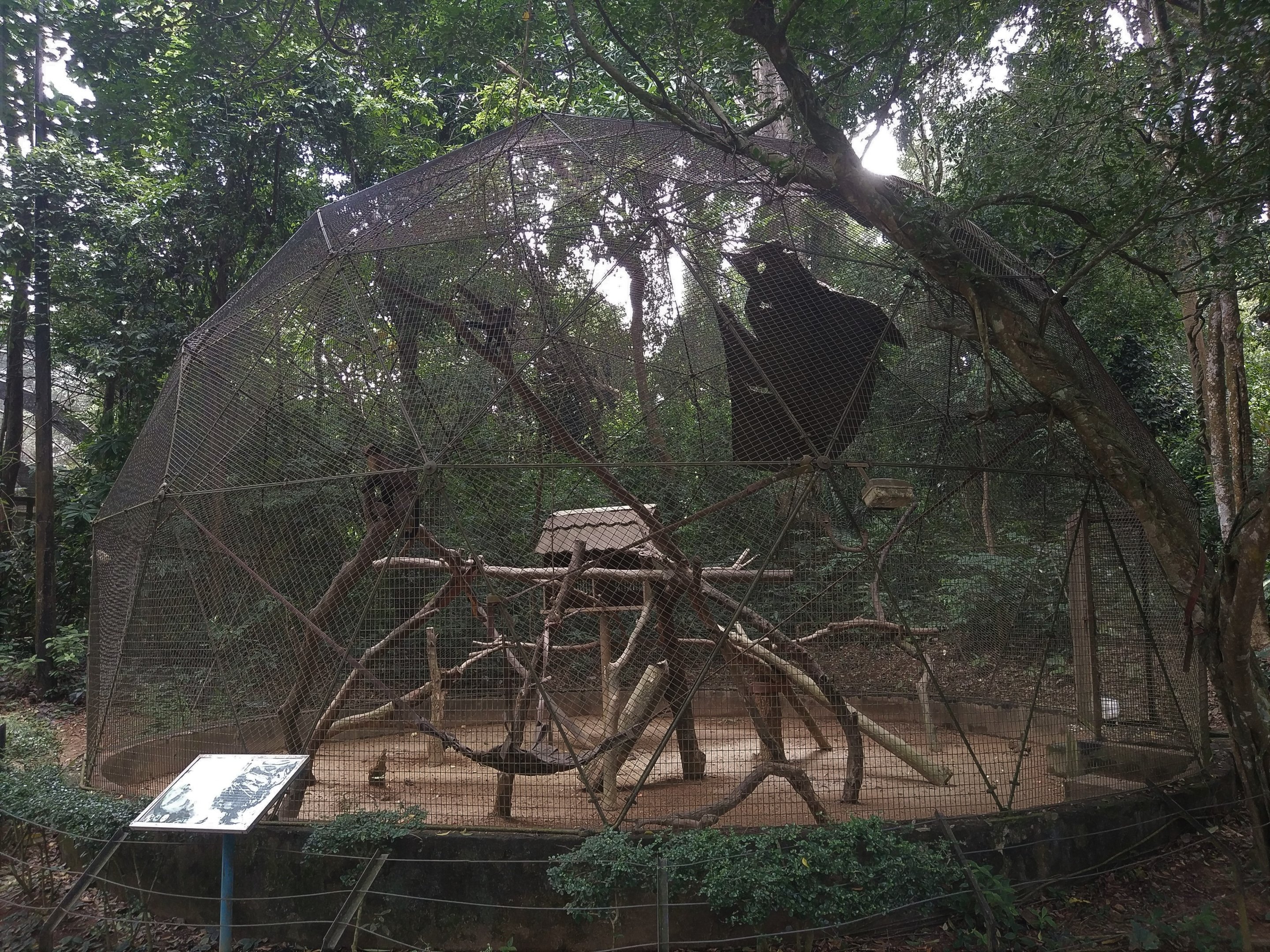 Black-headed Capuchin Enclosure