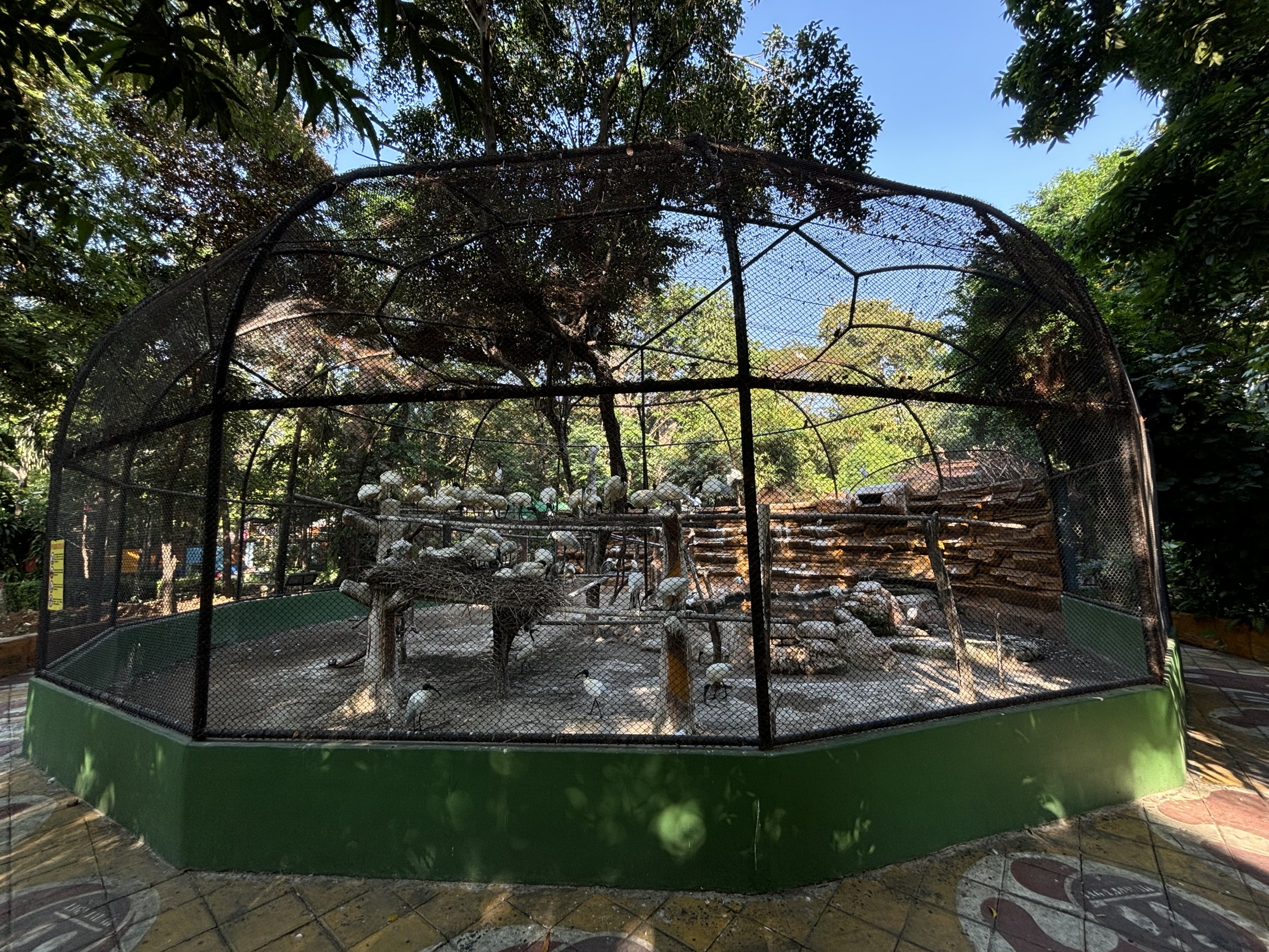 Black-headed Ibis Aviary - packed!