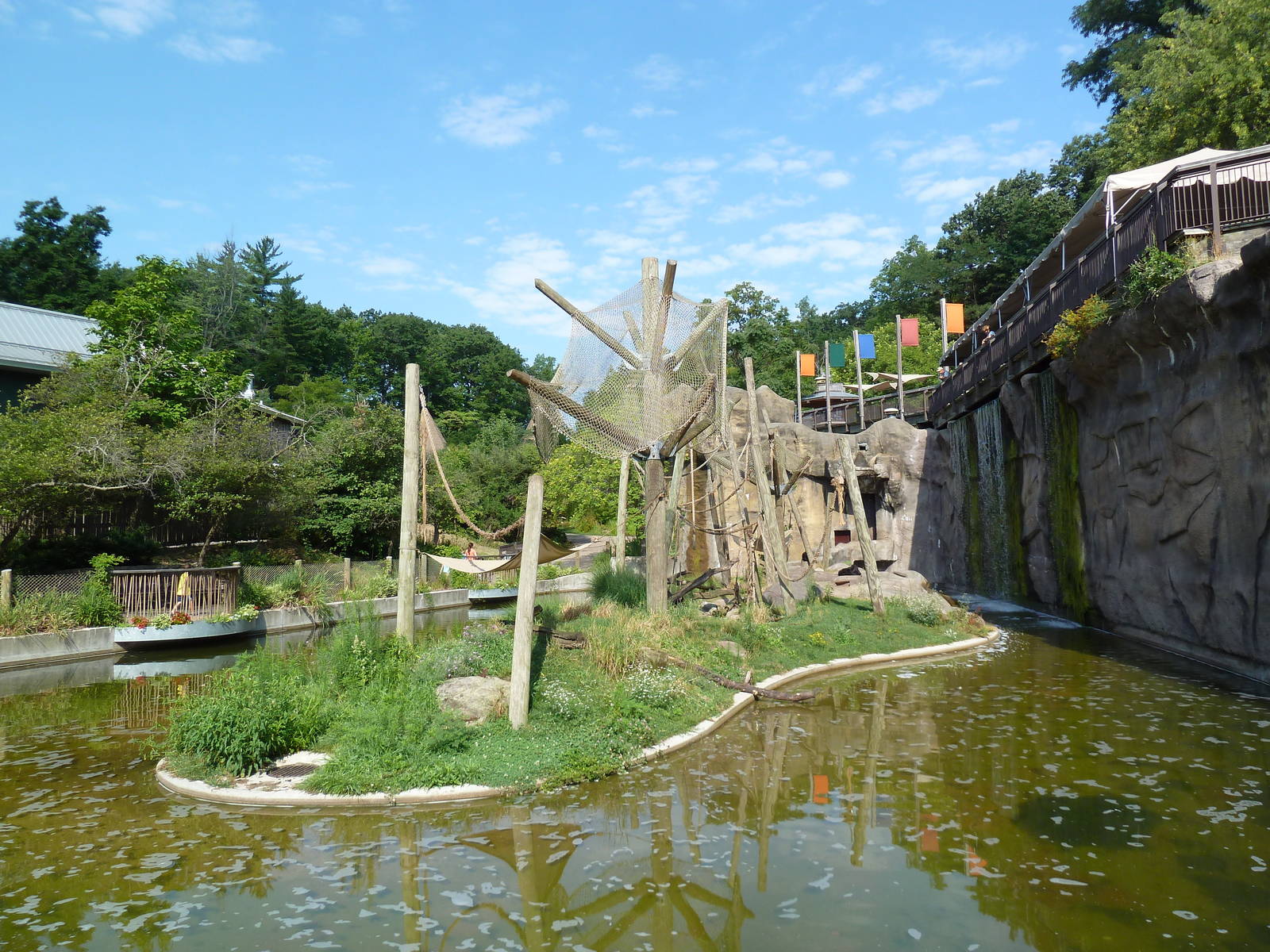 Black-Headed Spider Monkey Exhibit