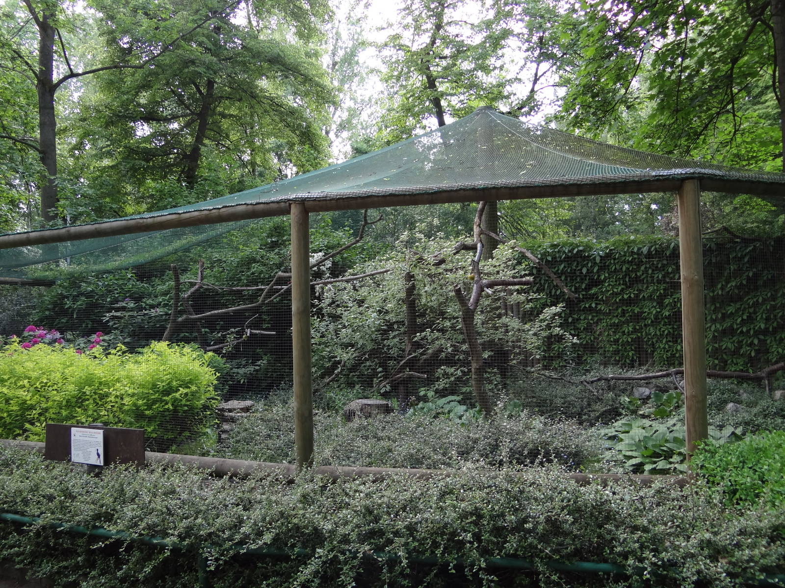 Black Hornbill aviary