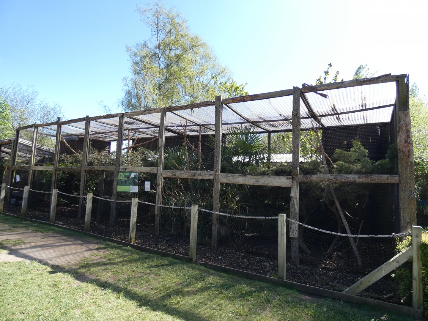 Black hornbill aviary