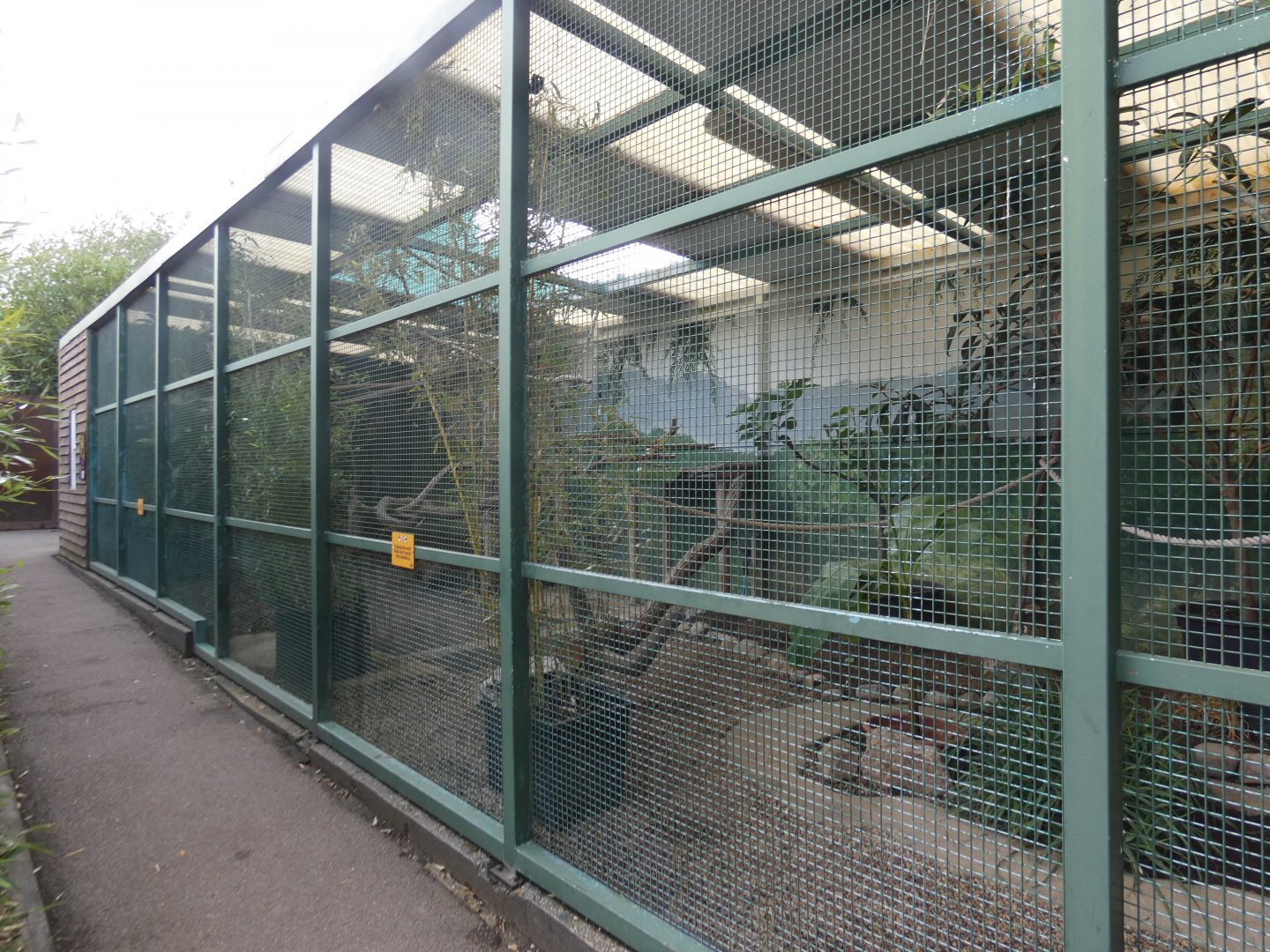 Black hornbill aviary