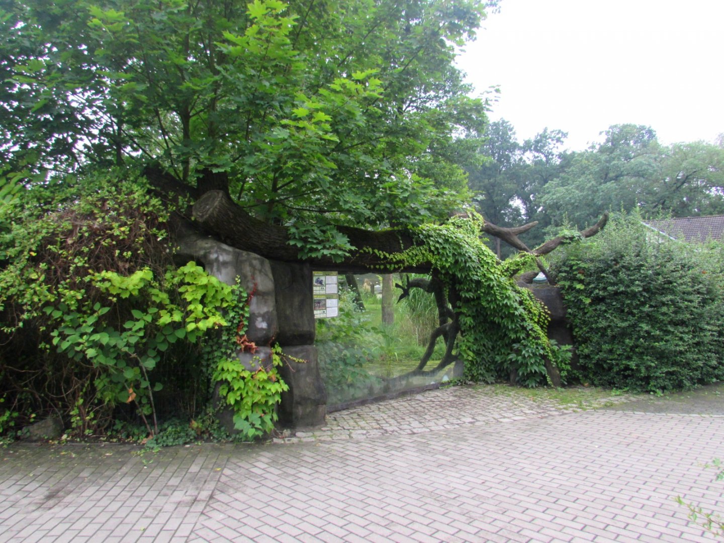 Black Howler and Maned Wolf enclosure - observation window.