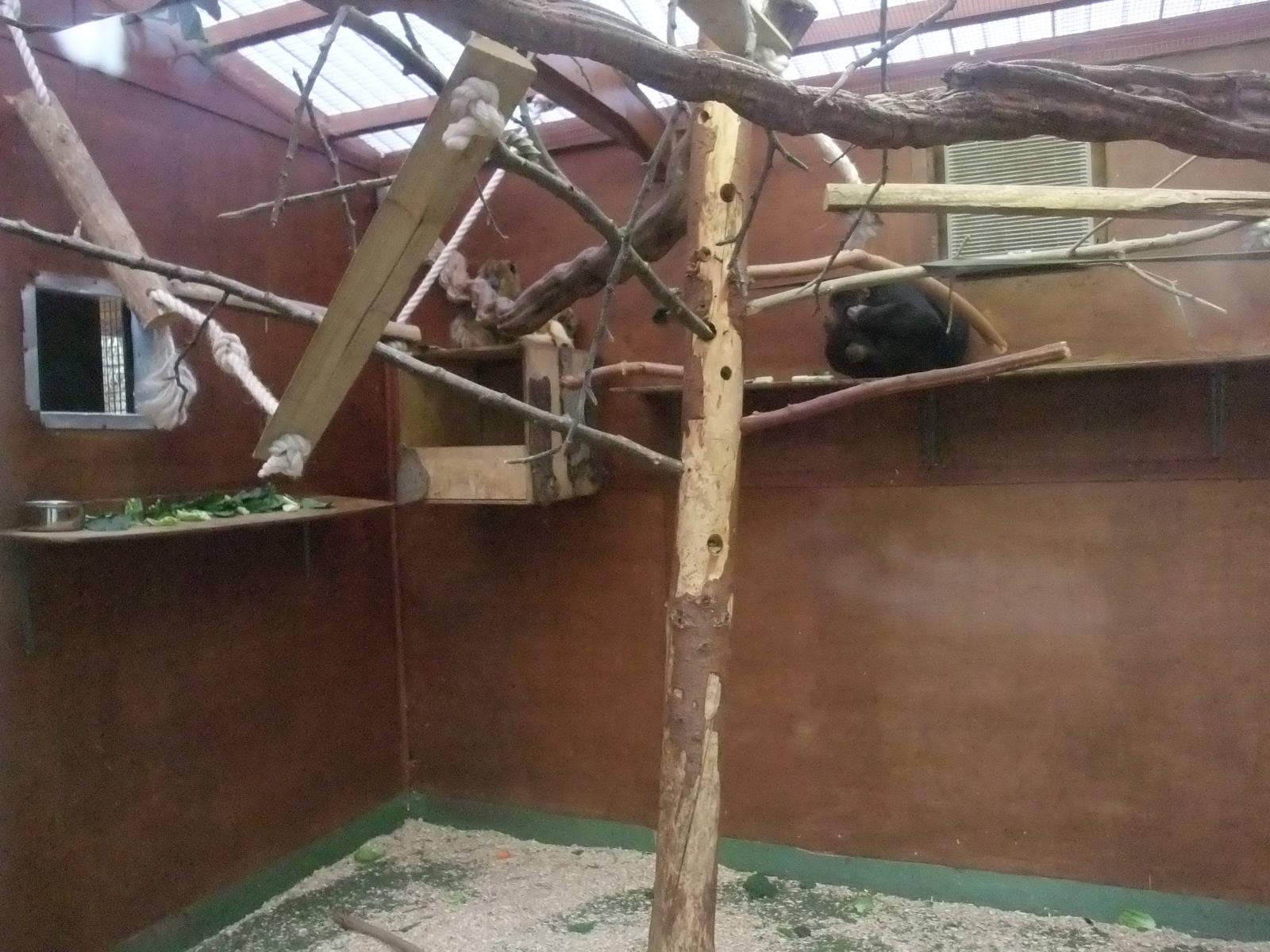 Black Howler Exhibit at Chester, 04/02/12