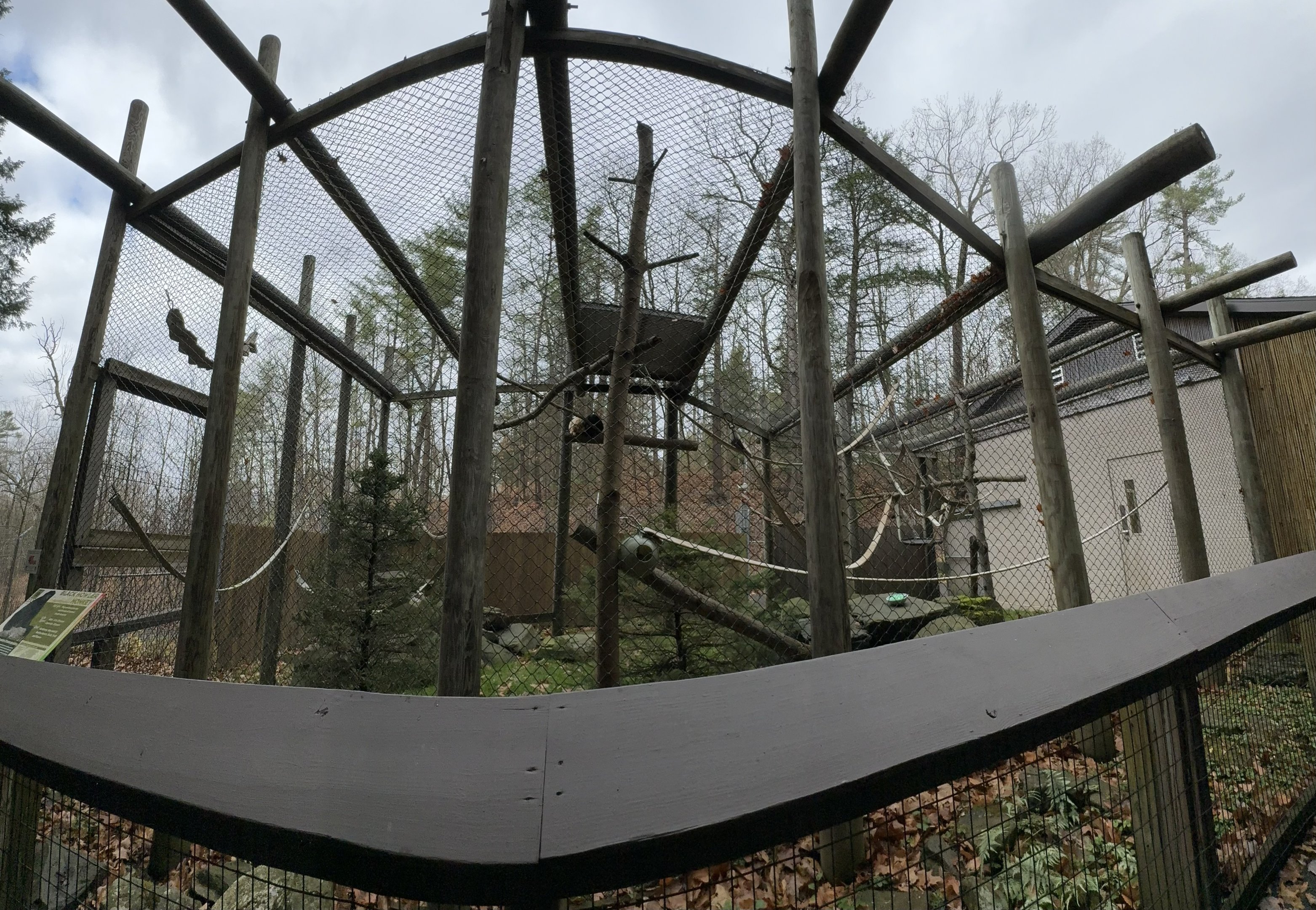 Black howler exhibit