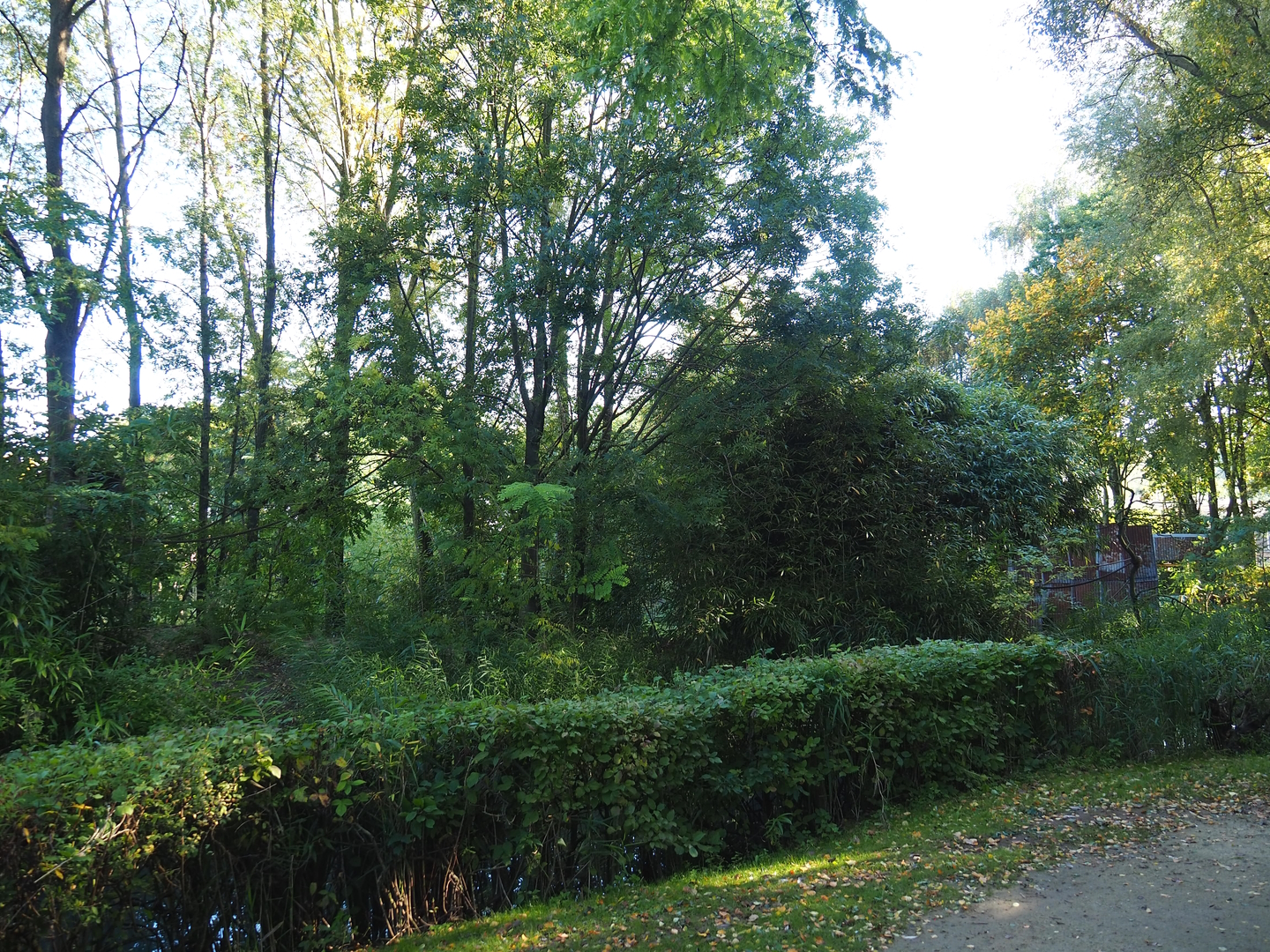 Black howler island, 2022-10-09