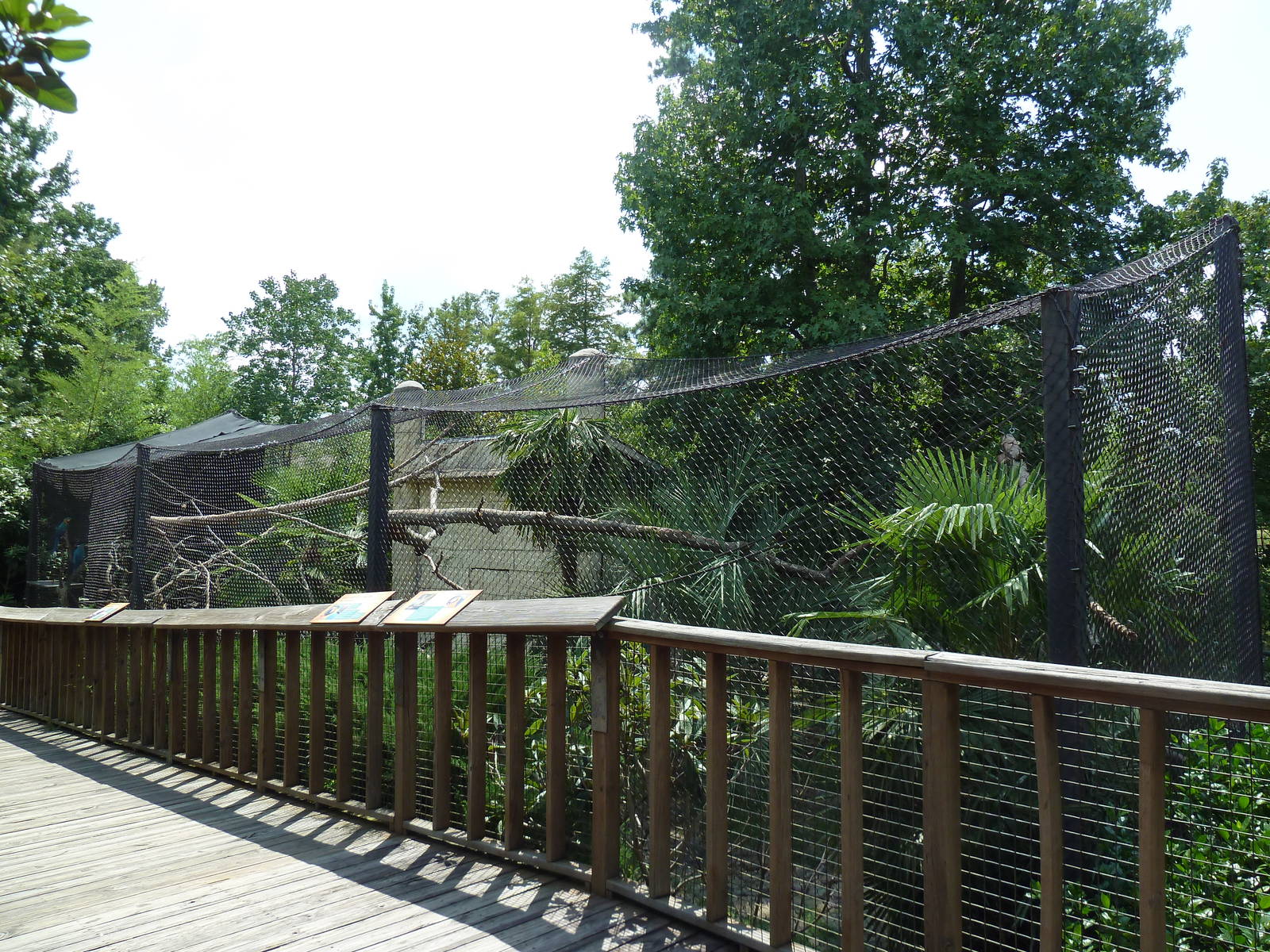 Black Howler Monkey/Blue + Gold Macaw Exhibit