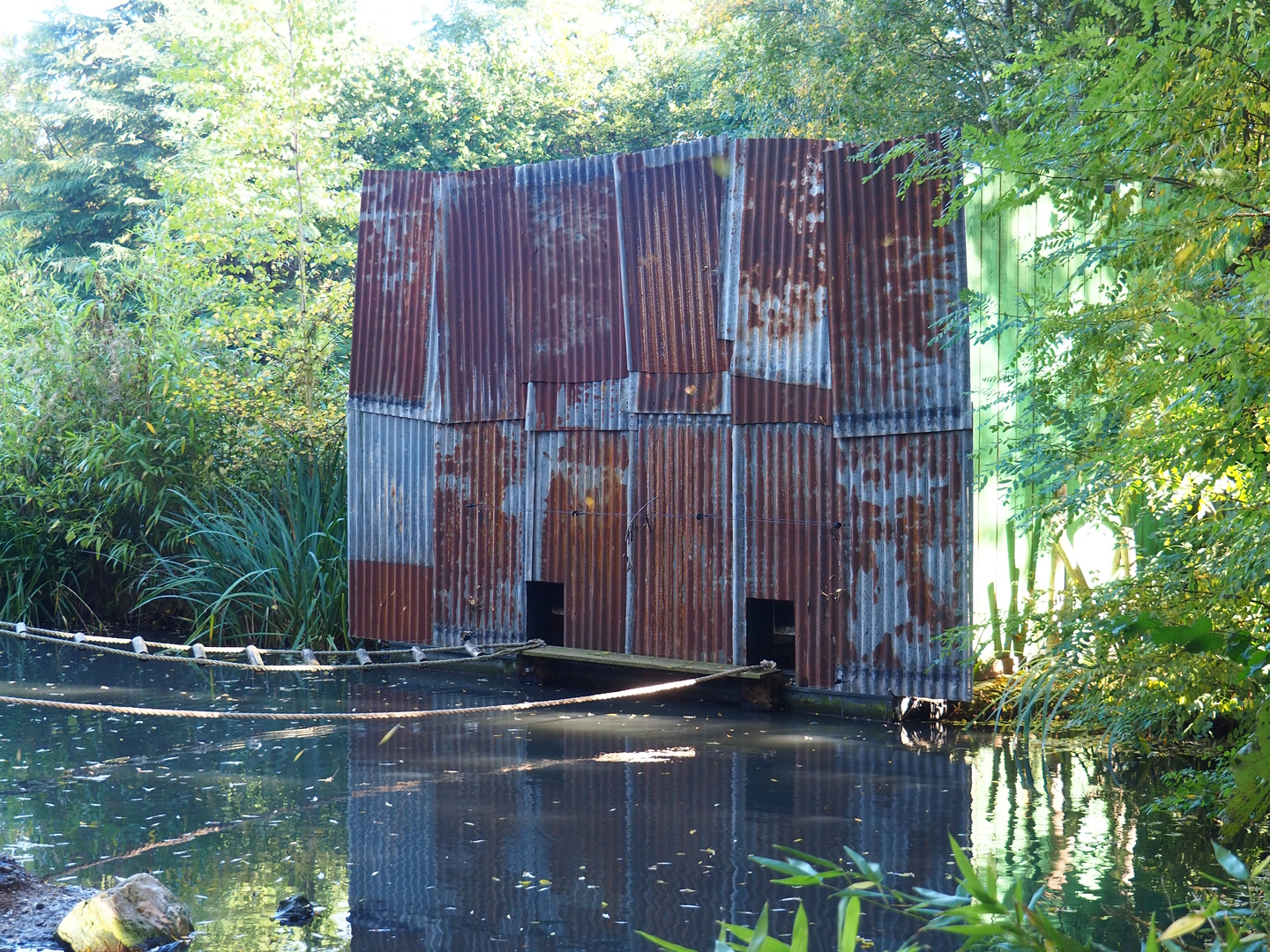 Black howler monkey building, 2022-10-09