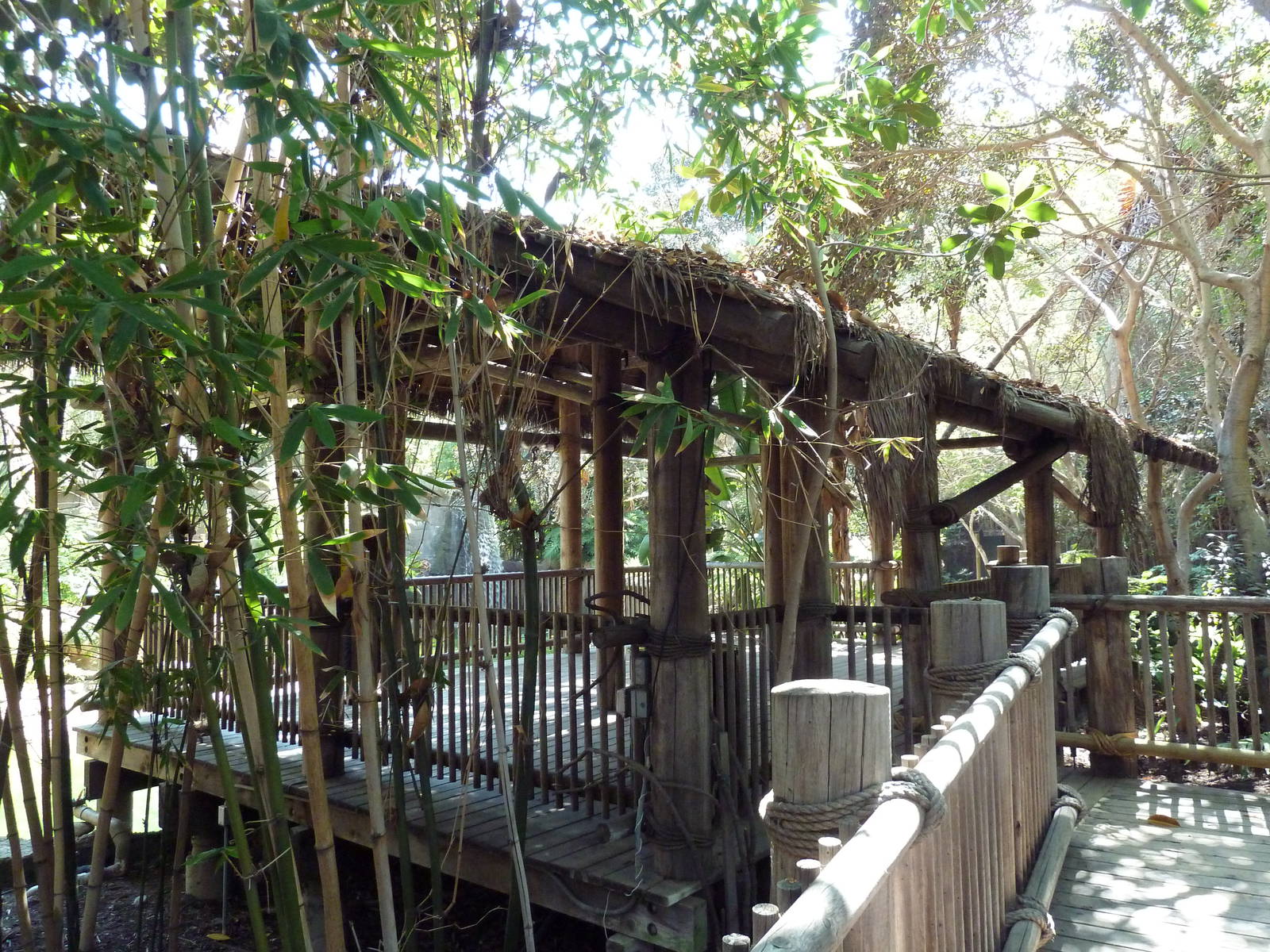 Black Howler Monkey/Crested Screamer/Black-Necked Swan/Mallard Exhibit