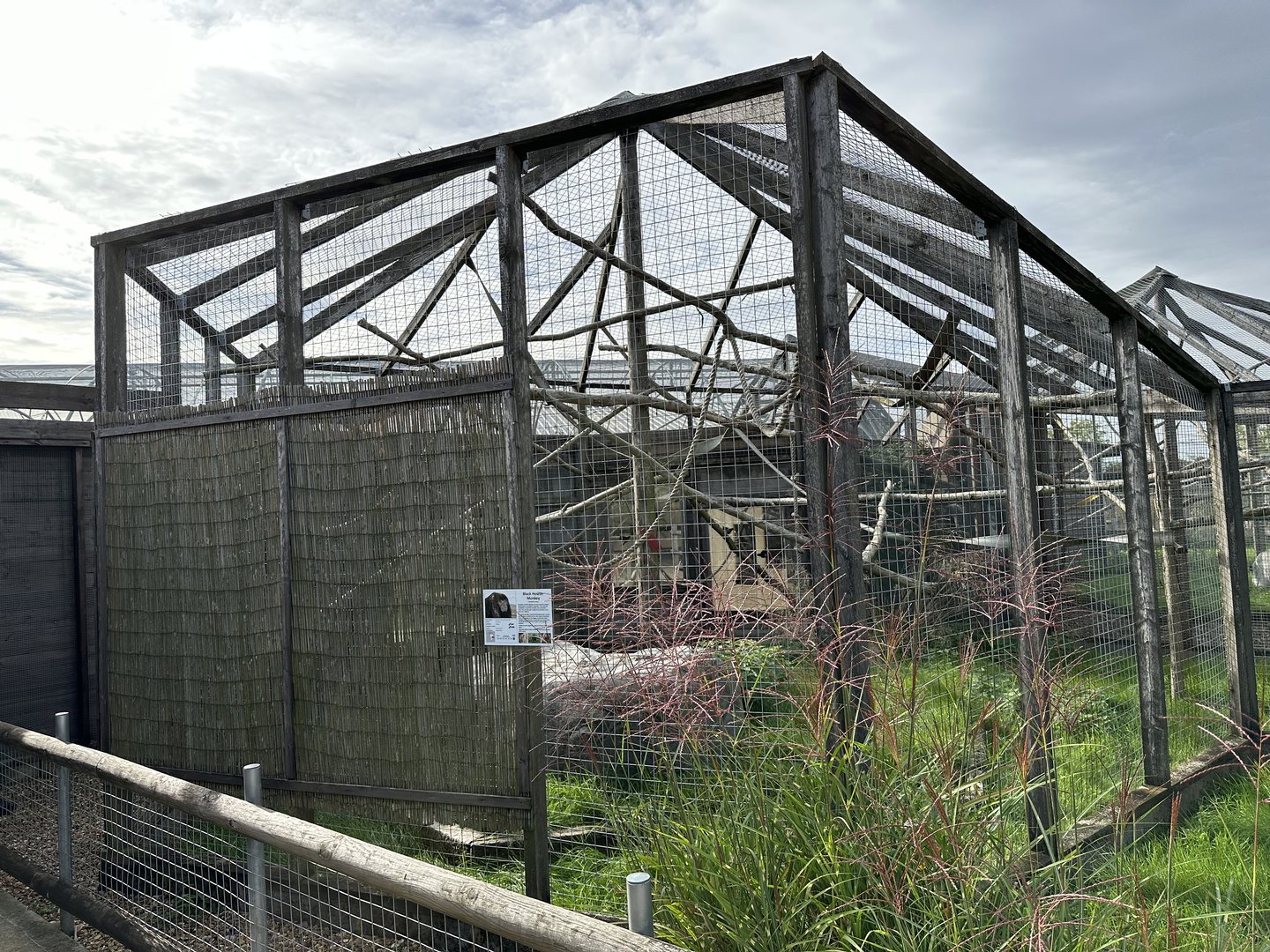 Black Howler Monkey Enclosure at Hamerton Zoo Park (October 2023)