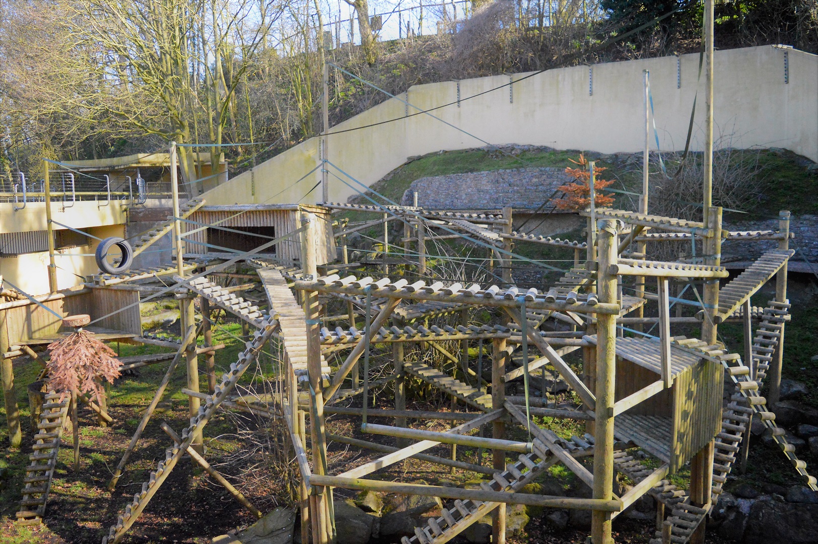 Black howler monkey enclosure