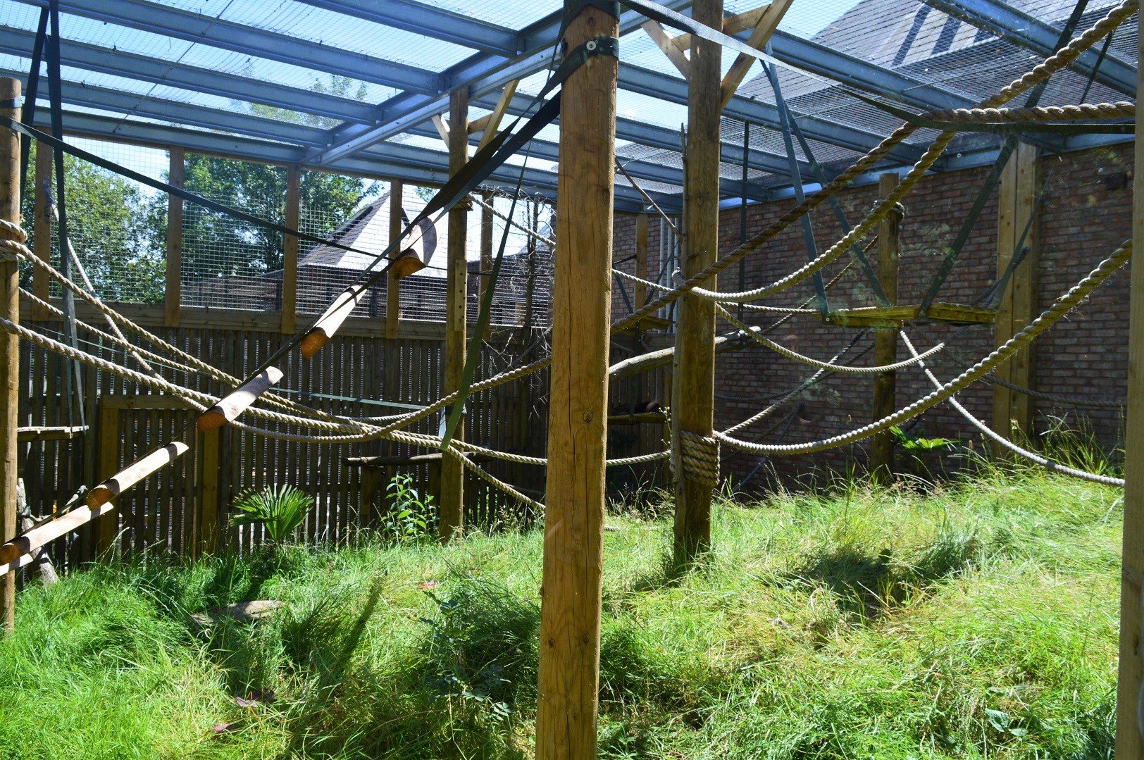 Black howler monkey enclosure.