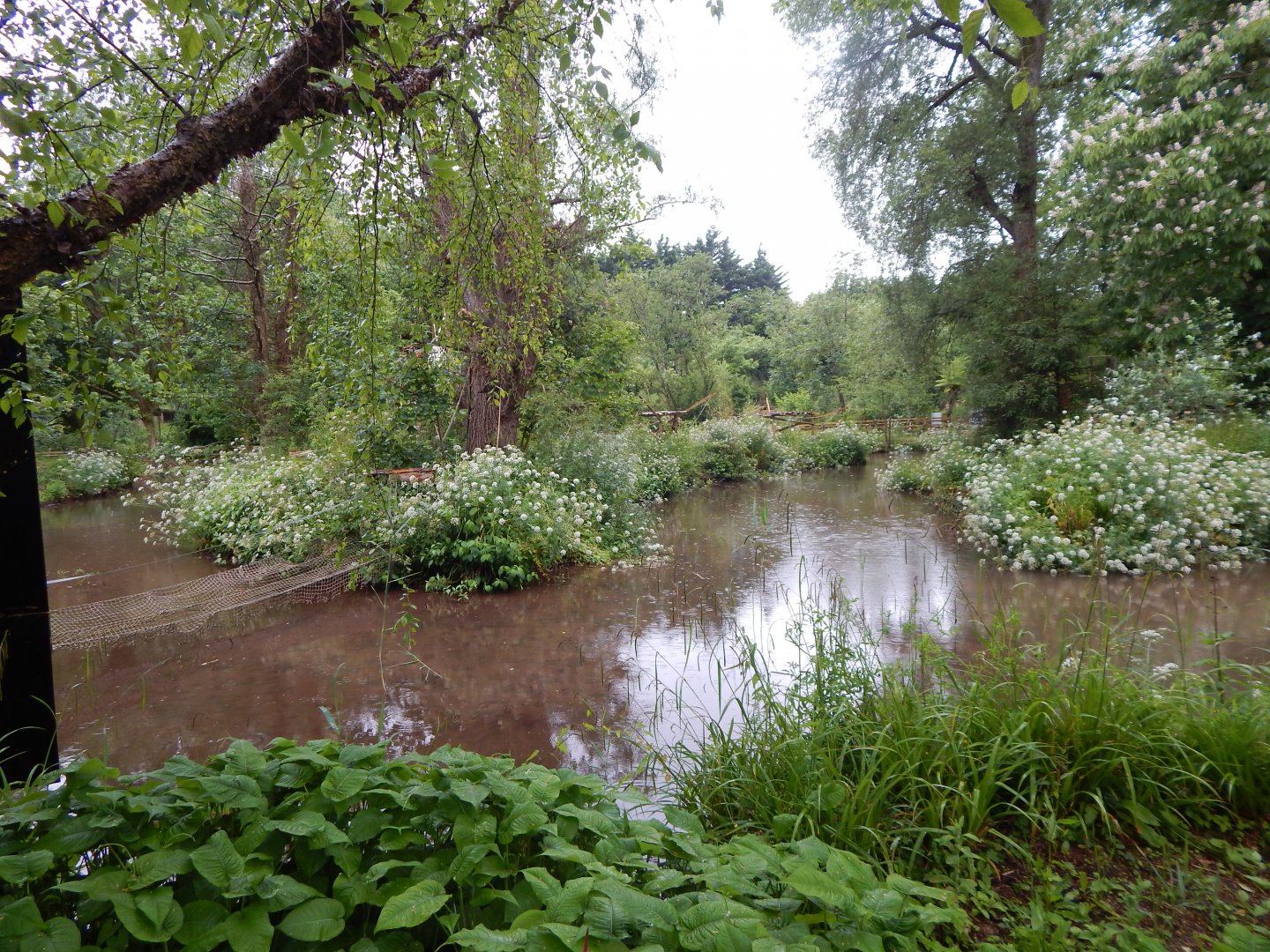 Black howler monkey exhibit 130624