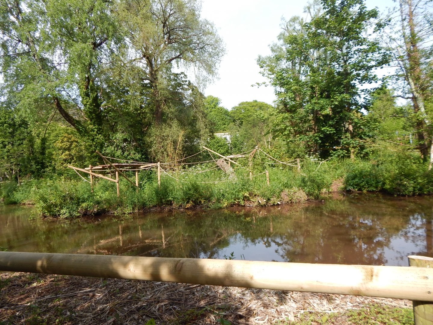 Black howler monkey exhibit 170524