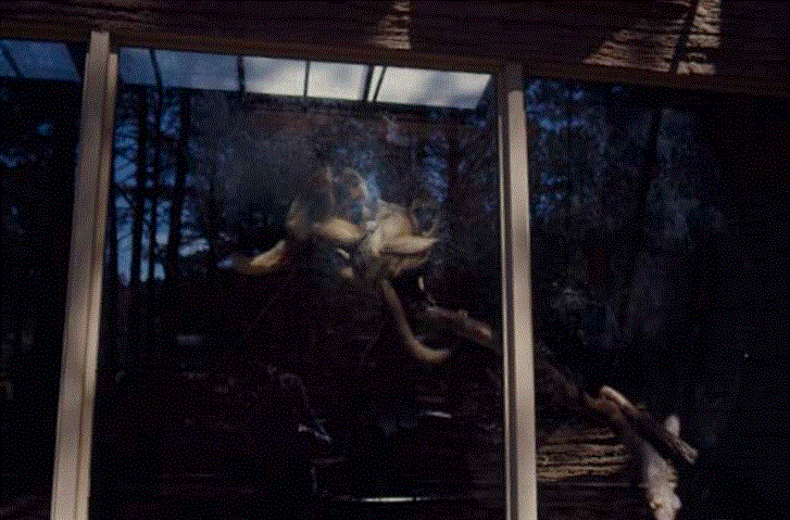 Black Howler Monkey Exhibit 1976