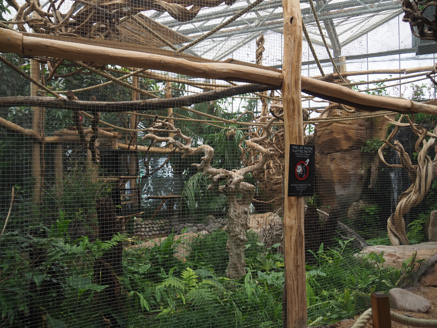 Black howler monkey exhibit, 2020-09-03